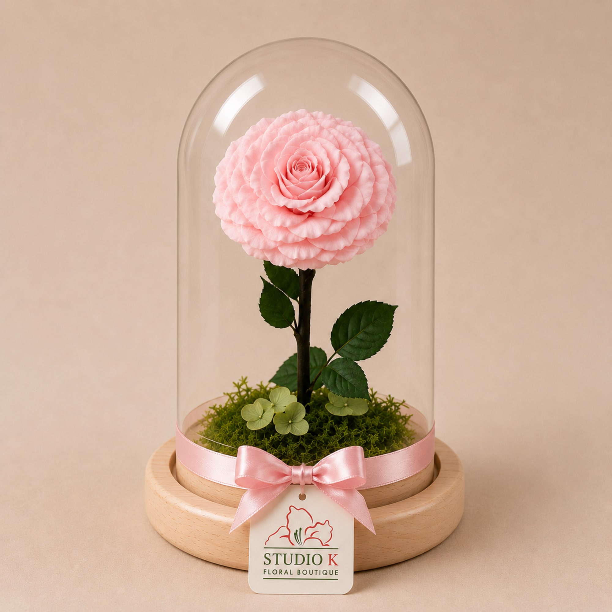 A real Ecuadorian rose, carefully preserved to last over a year&mdash;no water, photo 3 of 3