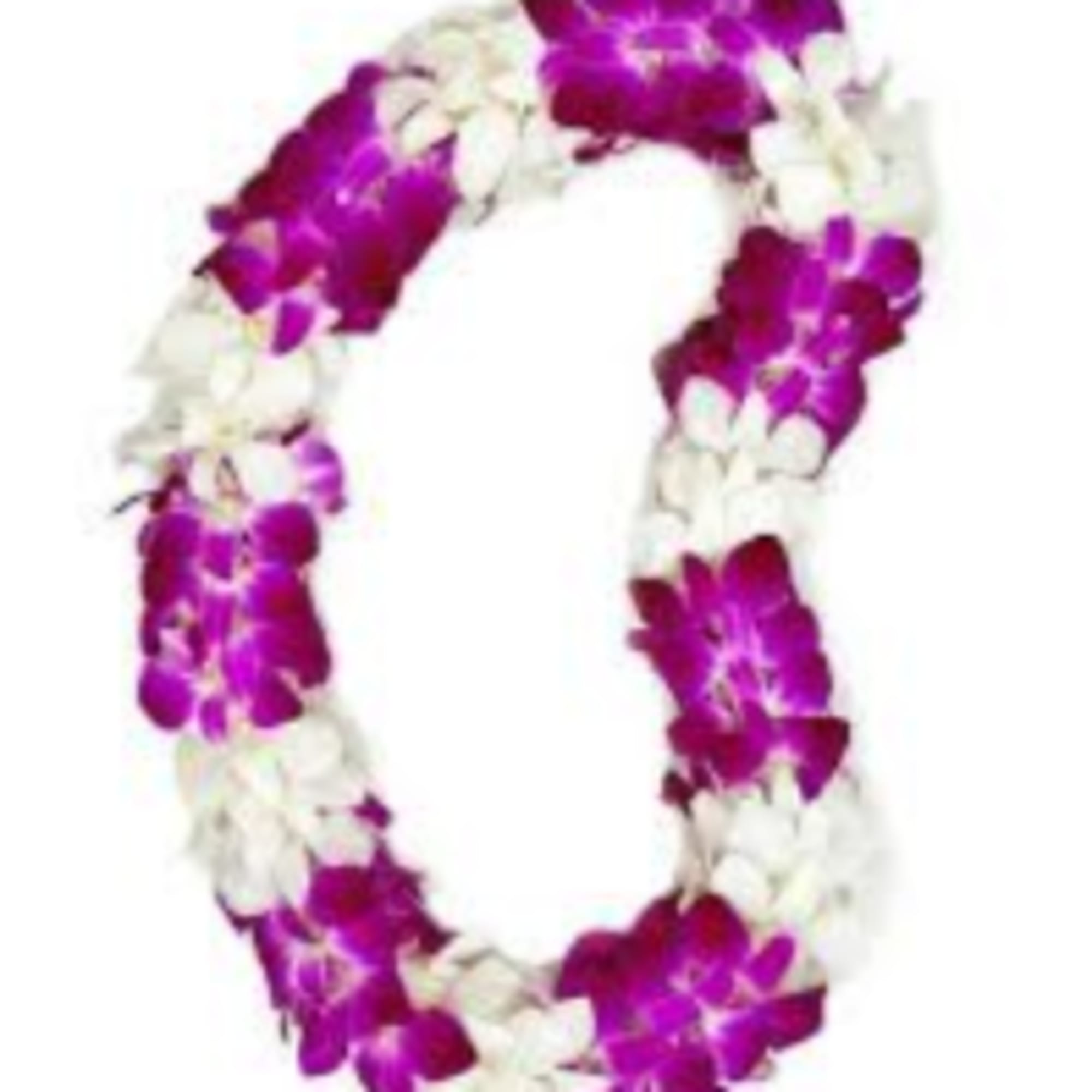 Purple and white orchid lei on a white background