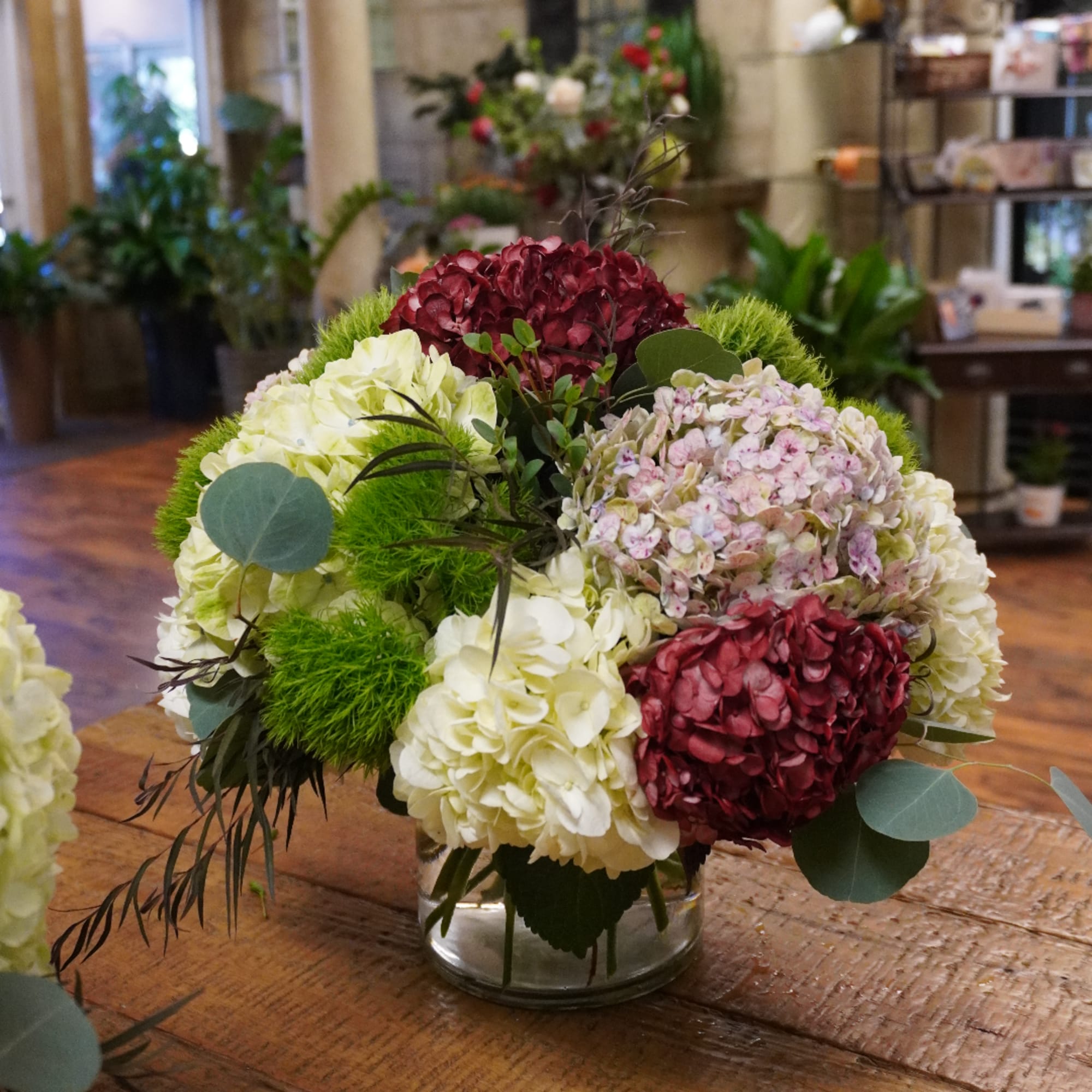Compact hydrangea arrangement in a clear glass vase with burgundy and cream blooms