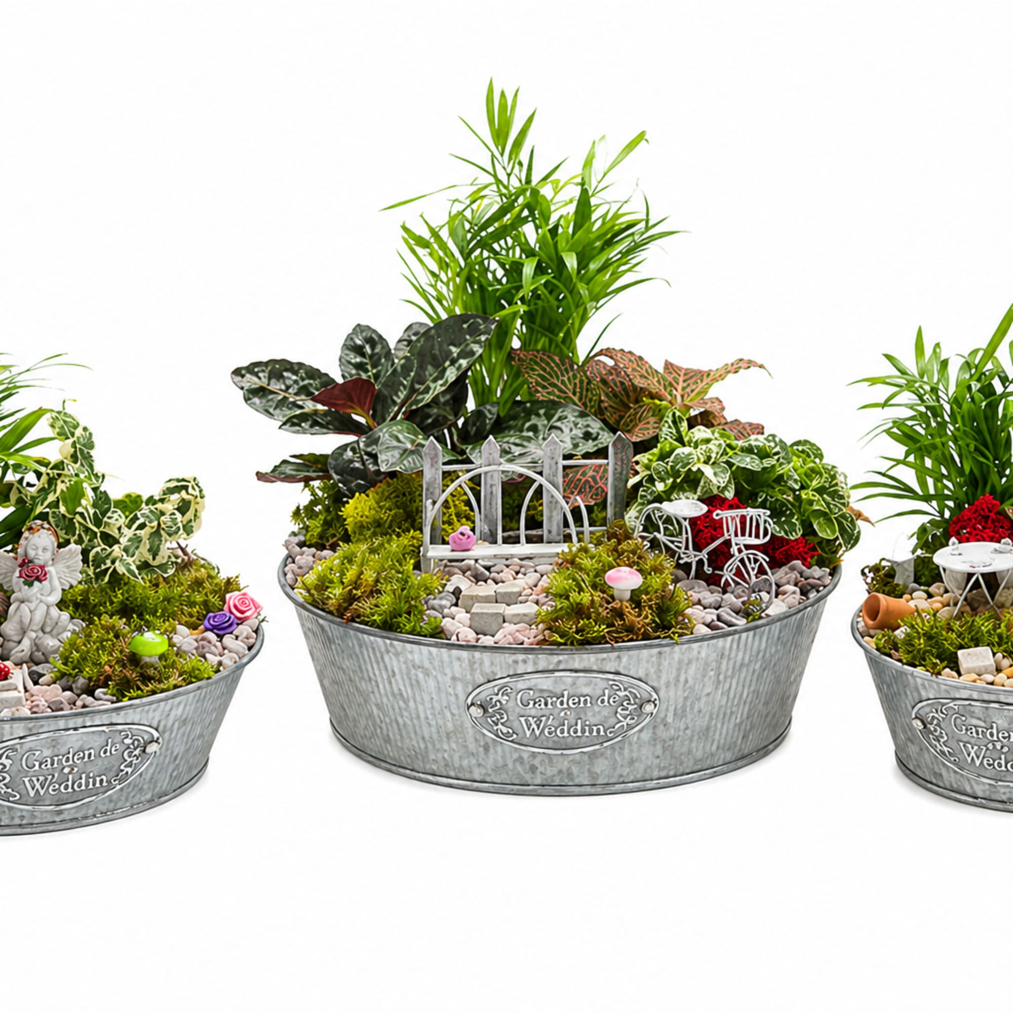 Part of our charming miniature garden collection, this 8" dish arrangement brings