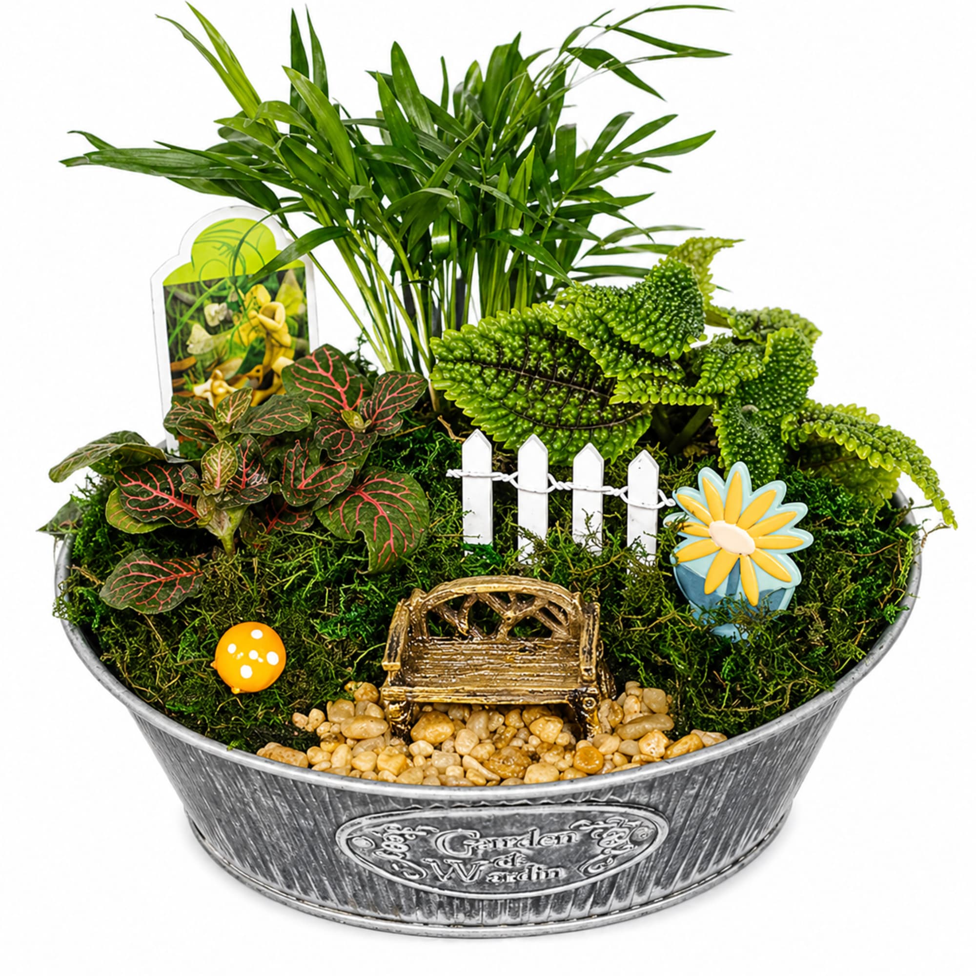 Part of our charming miniature garden collection, this 8" dish arrangement brings, photo 2 of 2