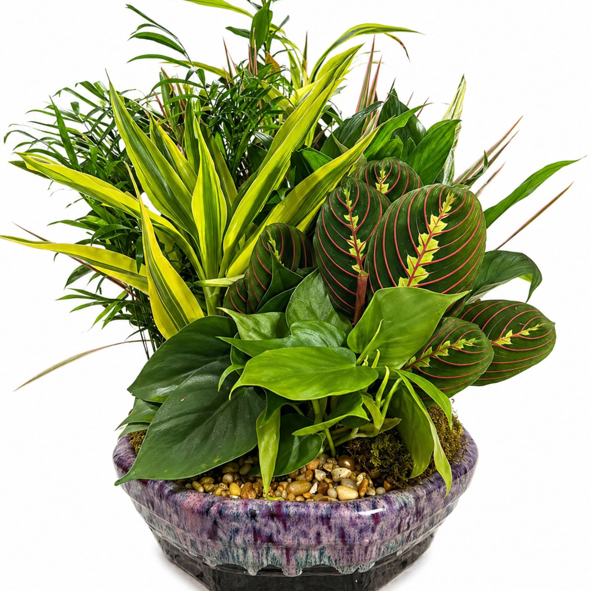 Bring natural texture and modern greenery into any space with this beautifully