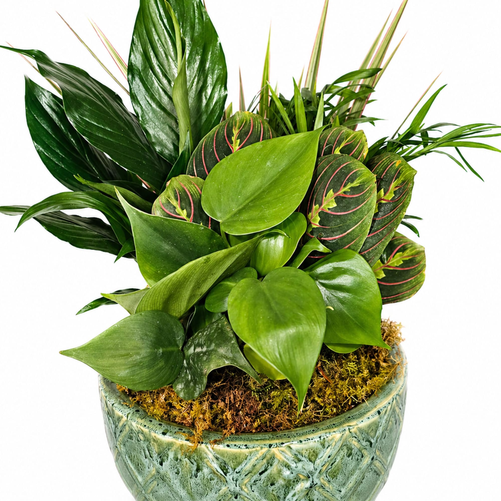 Bring fresh greenery and natural elegance into any space with our 8"