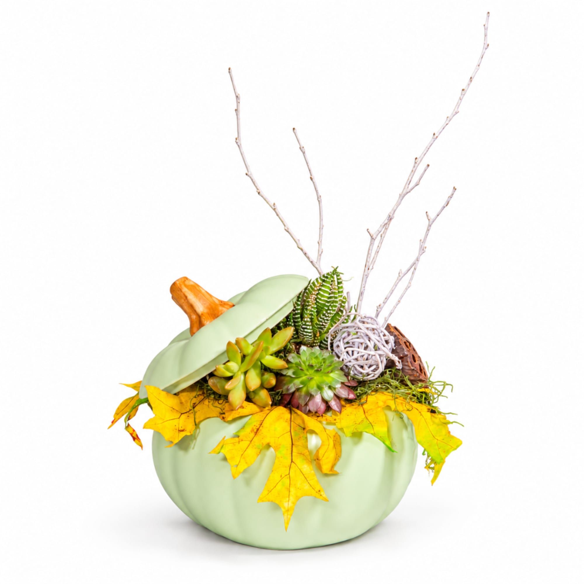 Succulent arrangement in a pale green pumpkin-shaped container with yellow leaves