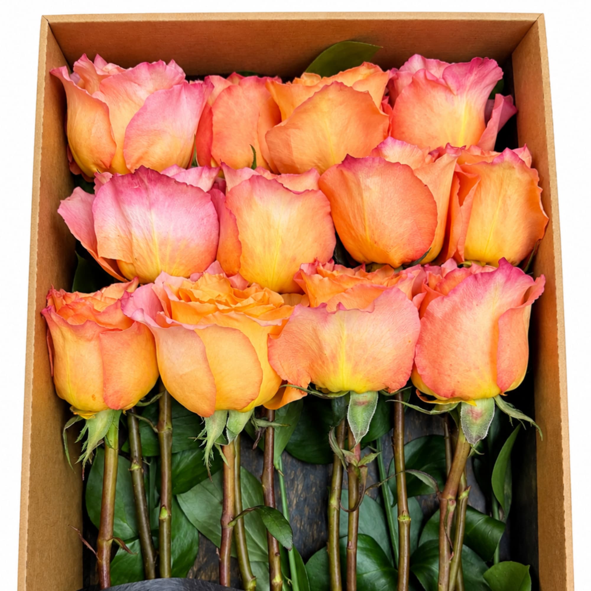 Box of pink and orange roses with long stems