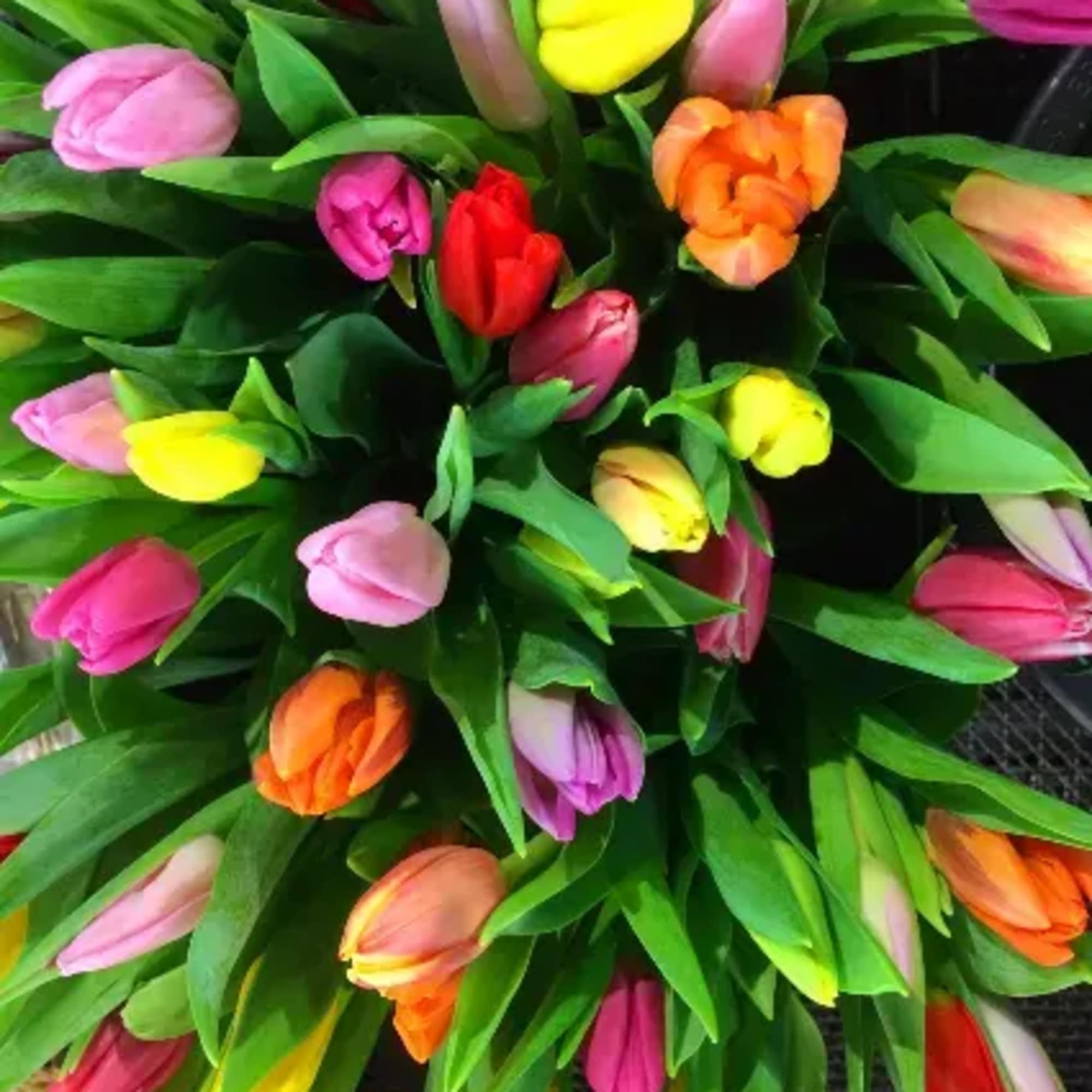 STANDARD - 10 stems wrapped. DELUXE - medium size bouquet with fillers