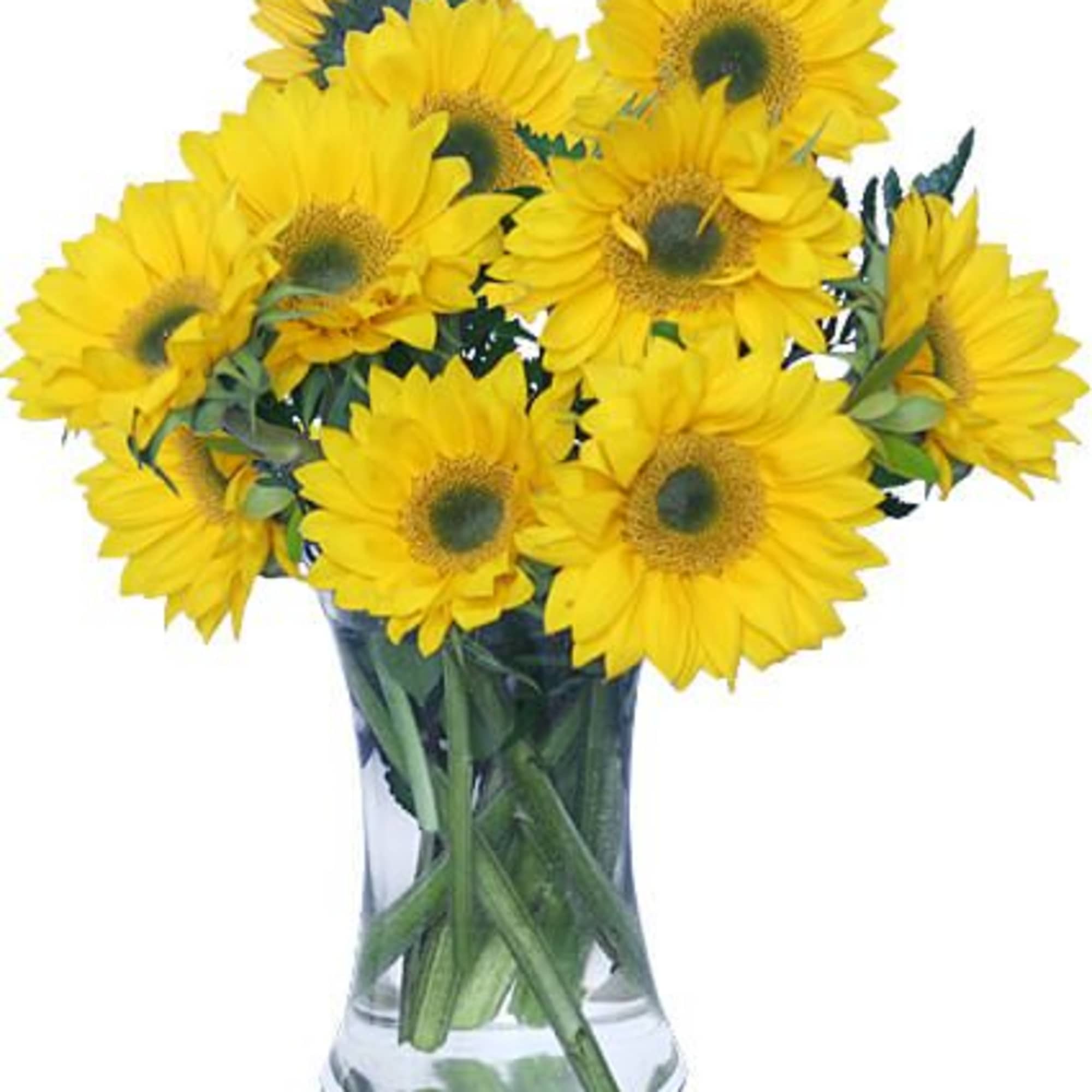 Small Gathering Vase, Small Sunflowers Or Yellow Gerberas.