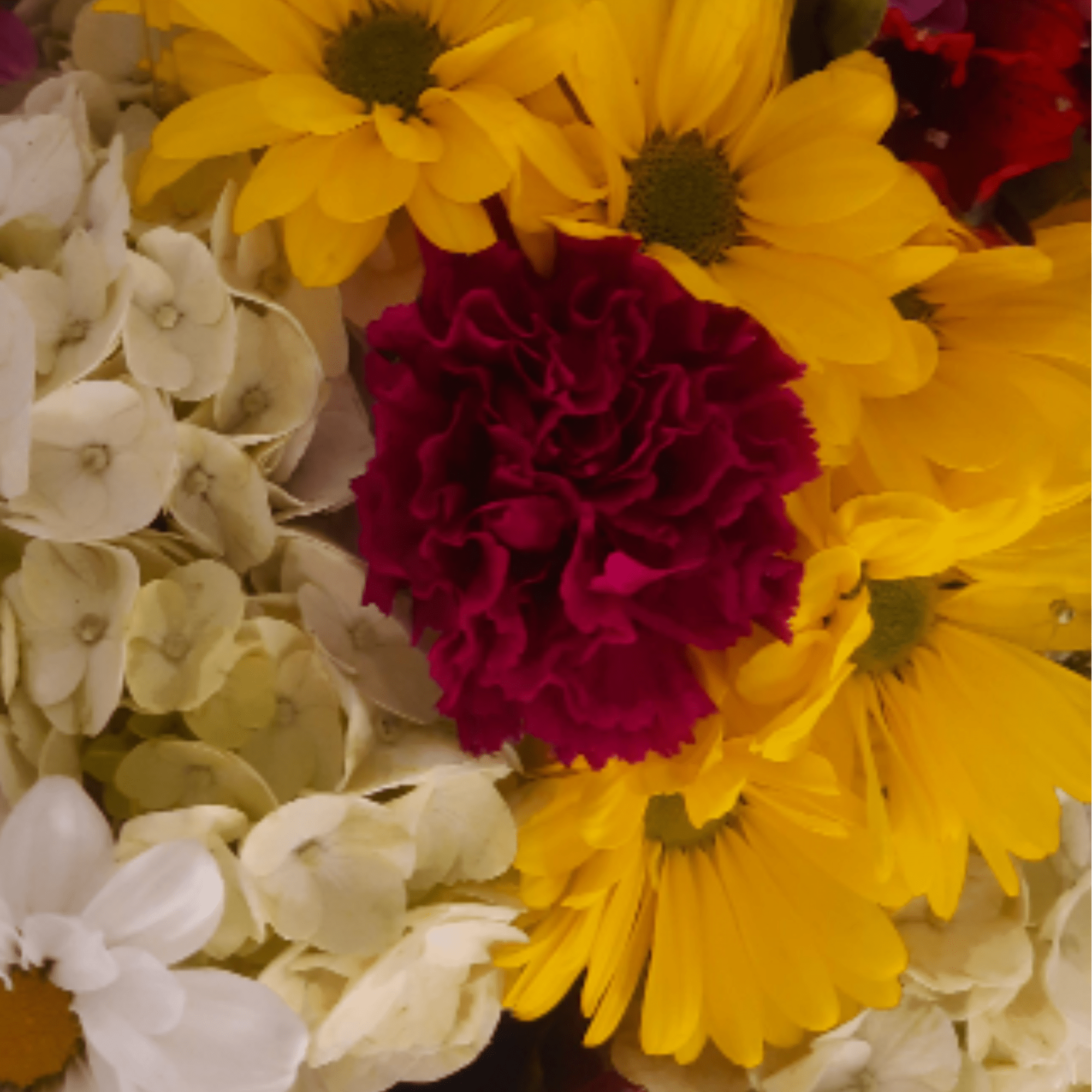 Bright, cheerful making this mixed bouquet a joyful choice for a birthday