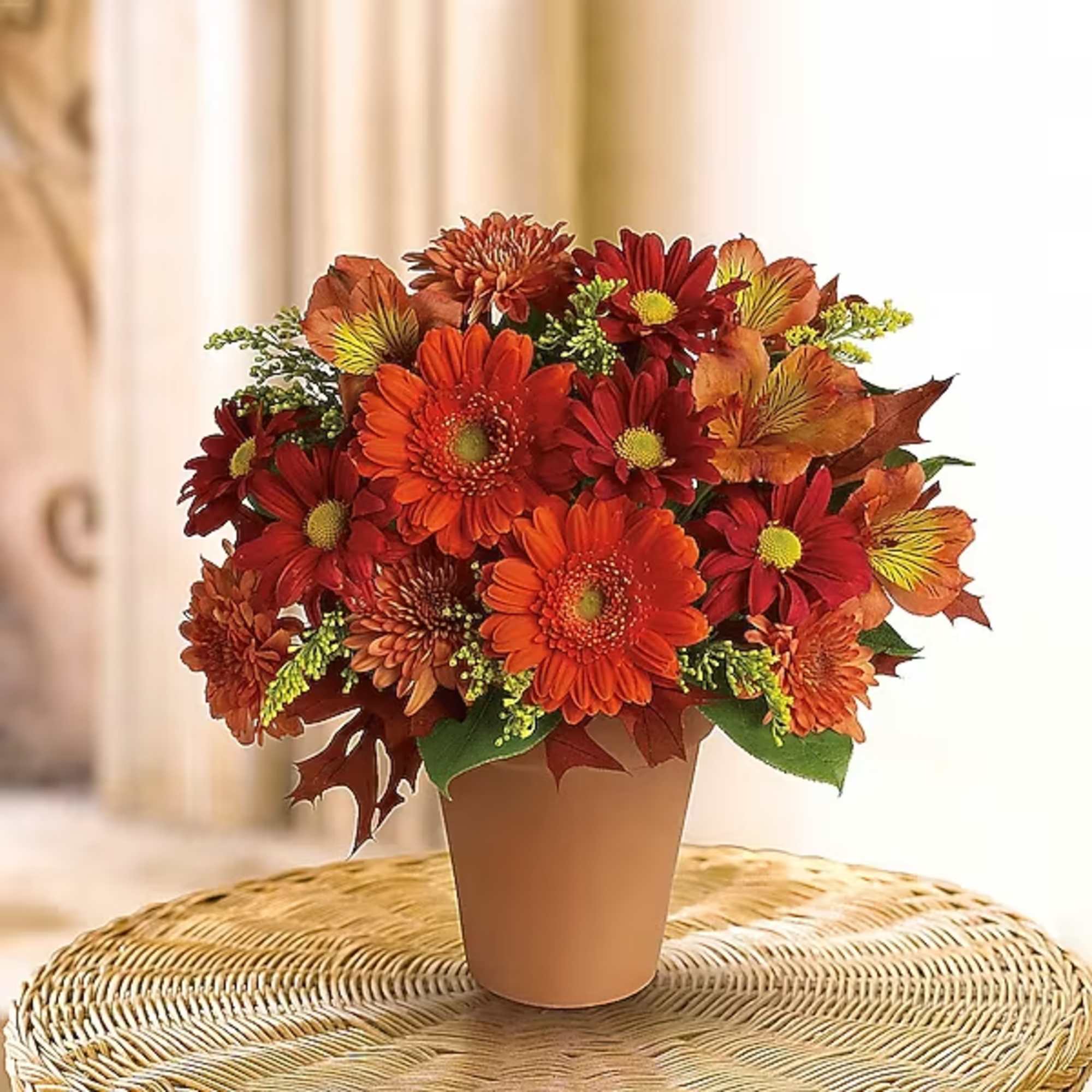 Send this pretty pot of golden fall flowers to someone special today.