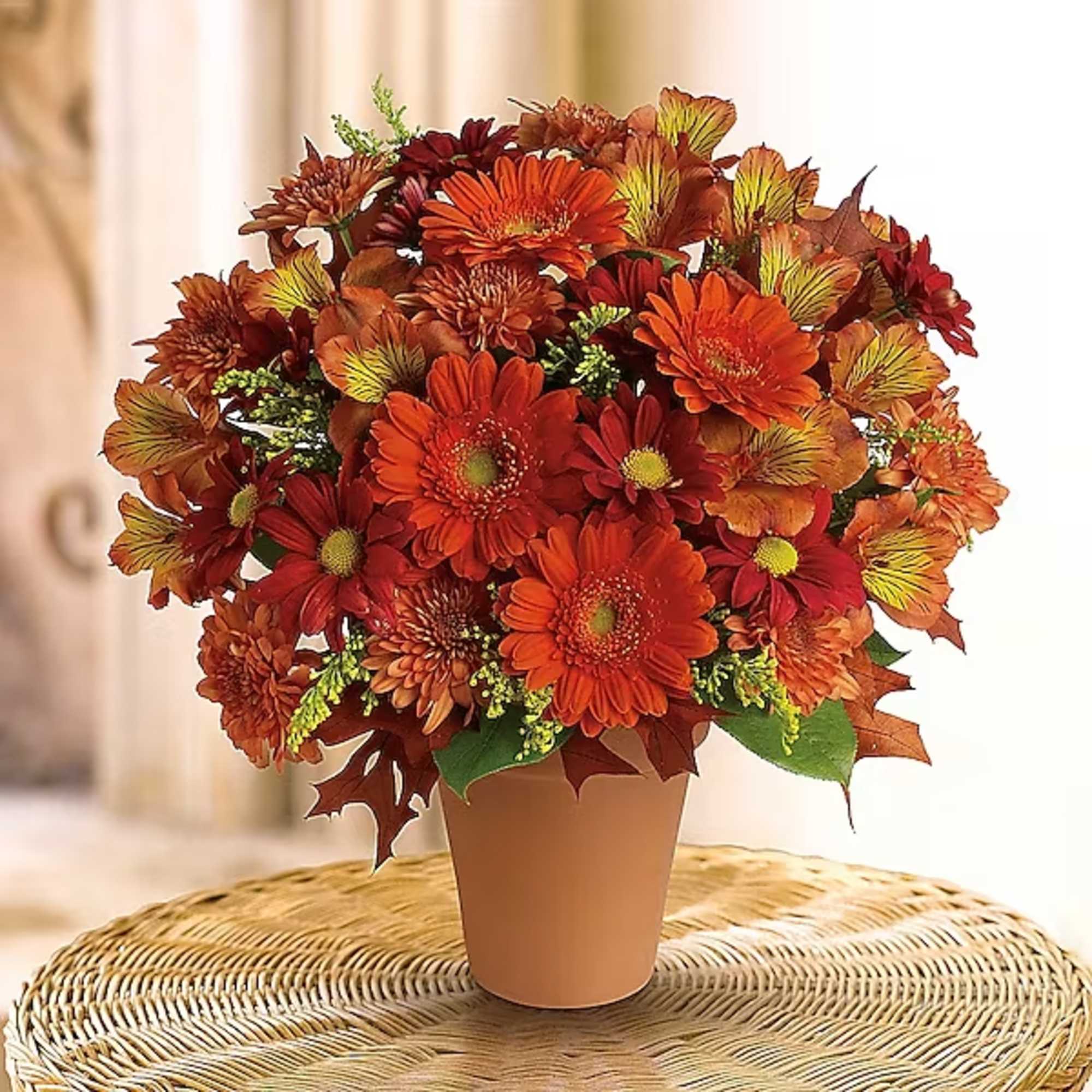 Send this pretty pot of golden fall flowers to someone special today., photo 2 of 2