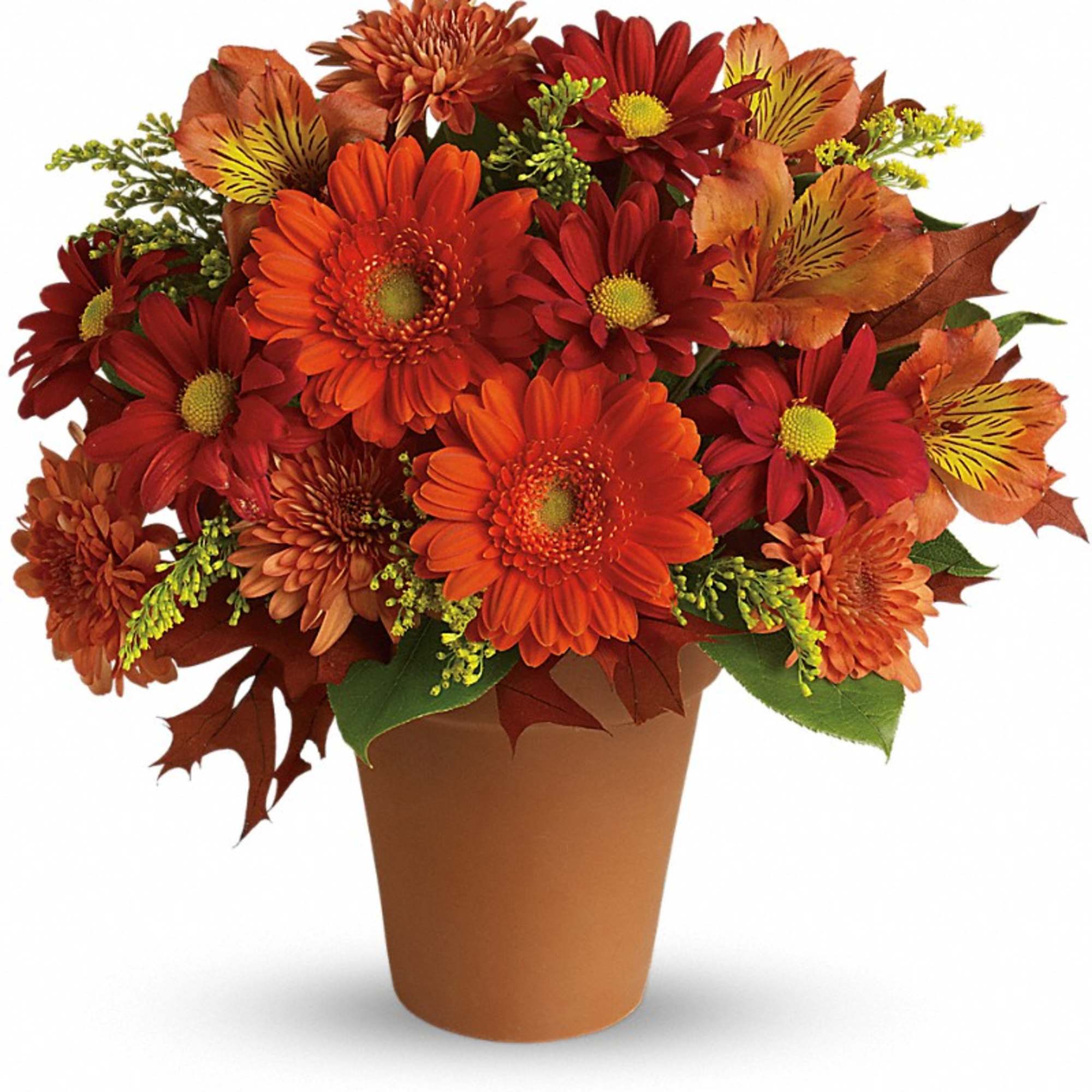 Orange and red fall flowers arranged in a terracotta pot