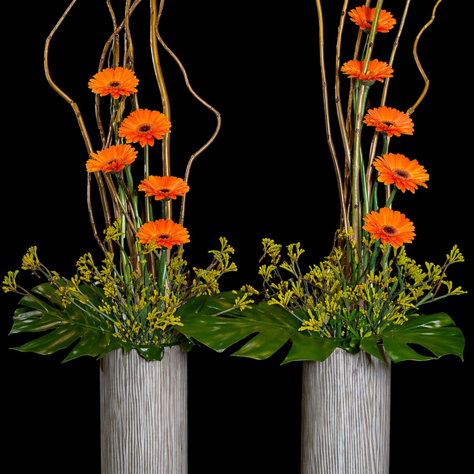 Bright orange gerbera daisies reach upward in a bold, modern display-an airy