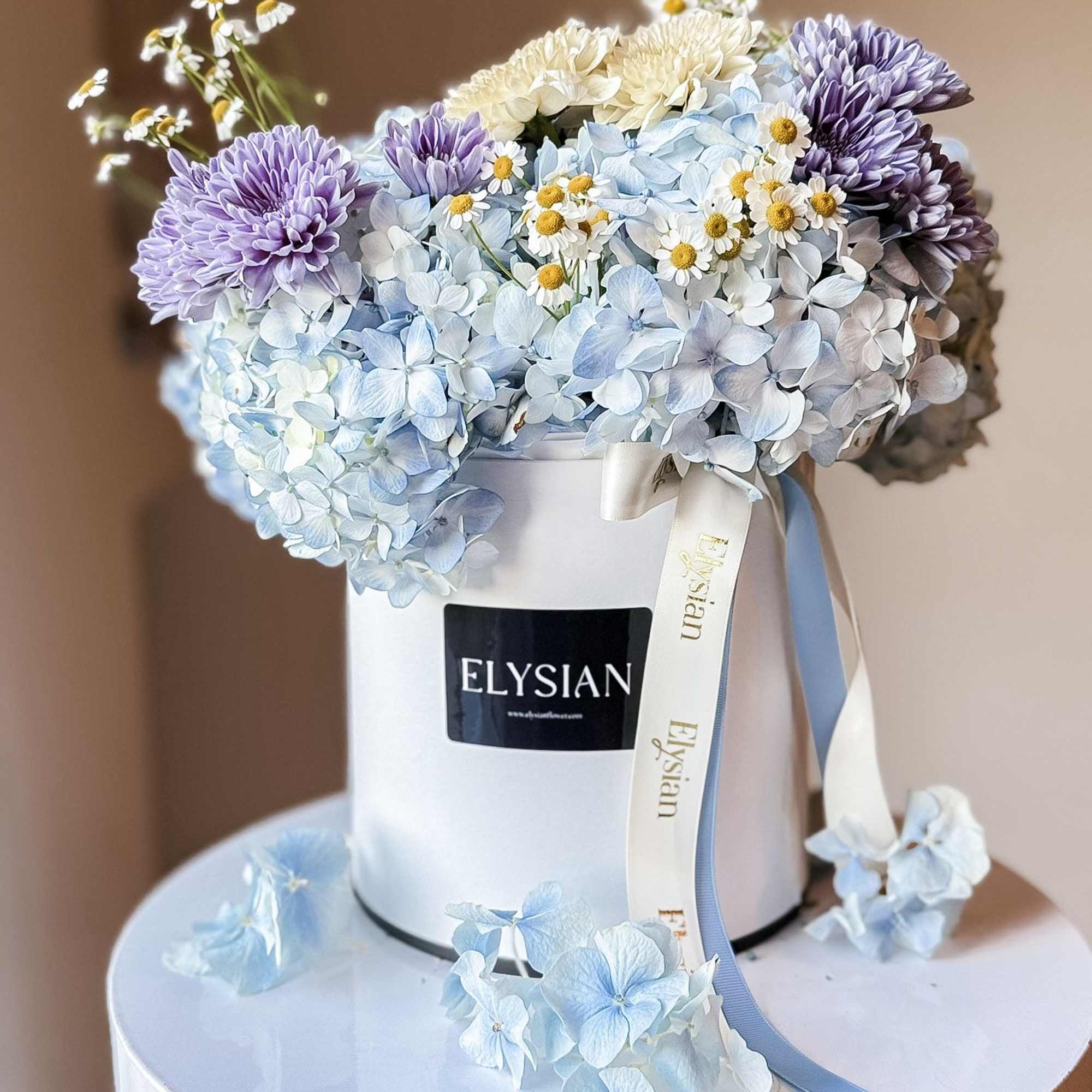 Celebrate the arrival of a new bundle of joy with our adorable