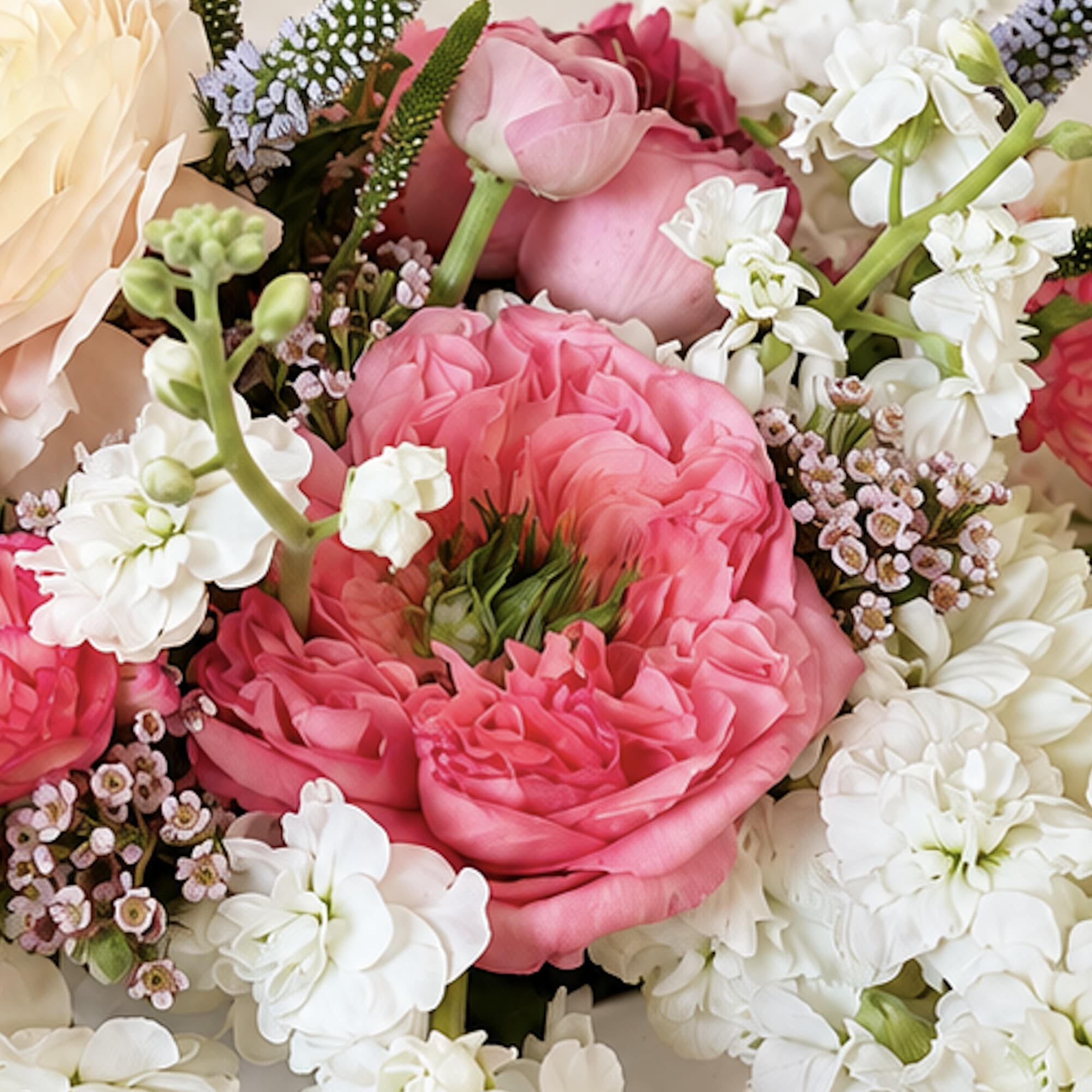 Close-up bouquet of pink and white flowers with layered blooms