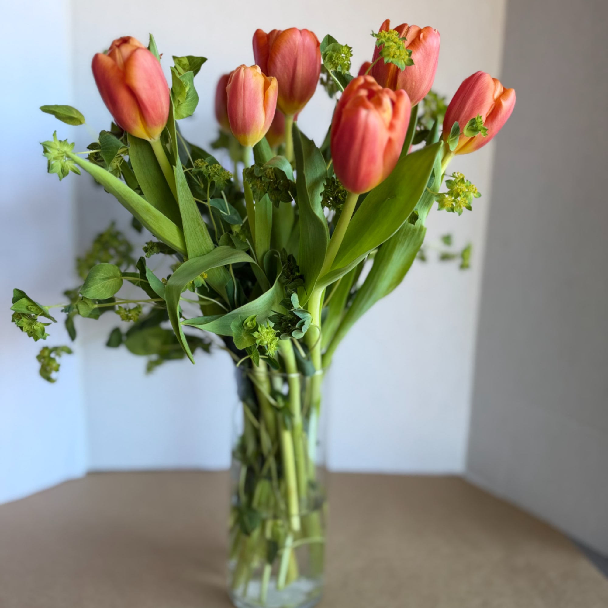 Coral tulips arranged in a clear glass vase with green filler
