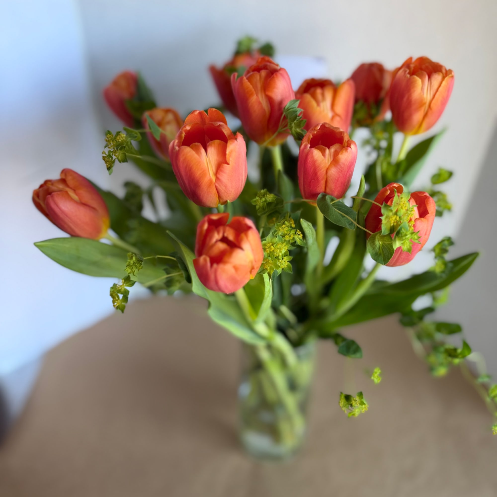 Orange tulips in a clear glass vase