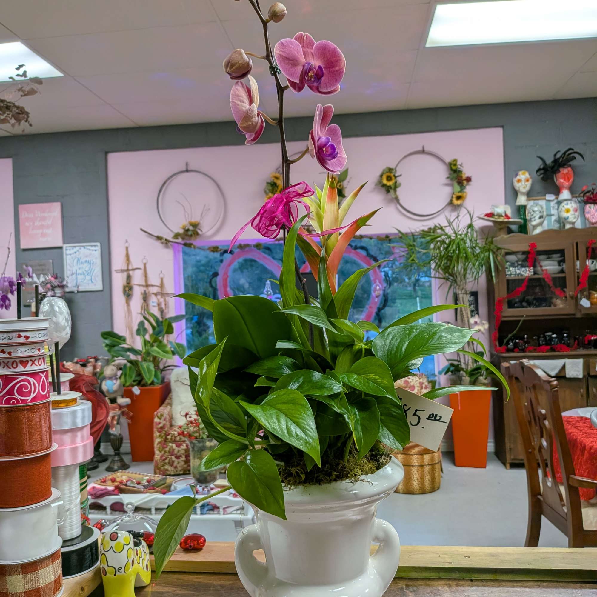 **Product Name:** Orchid &amp; Succulent Zen Garden

**Standard Description:** Elevate any space with