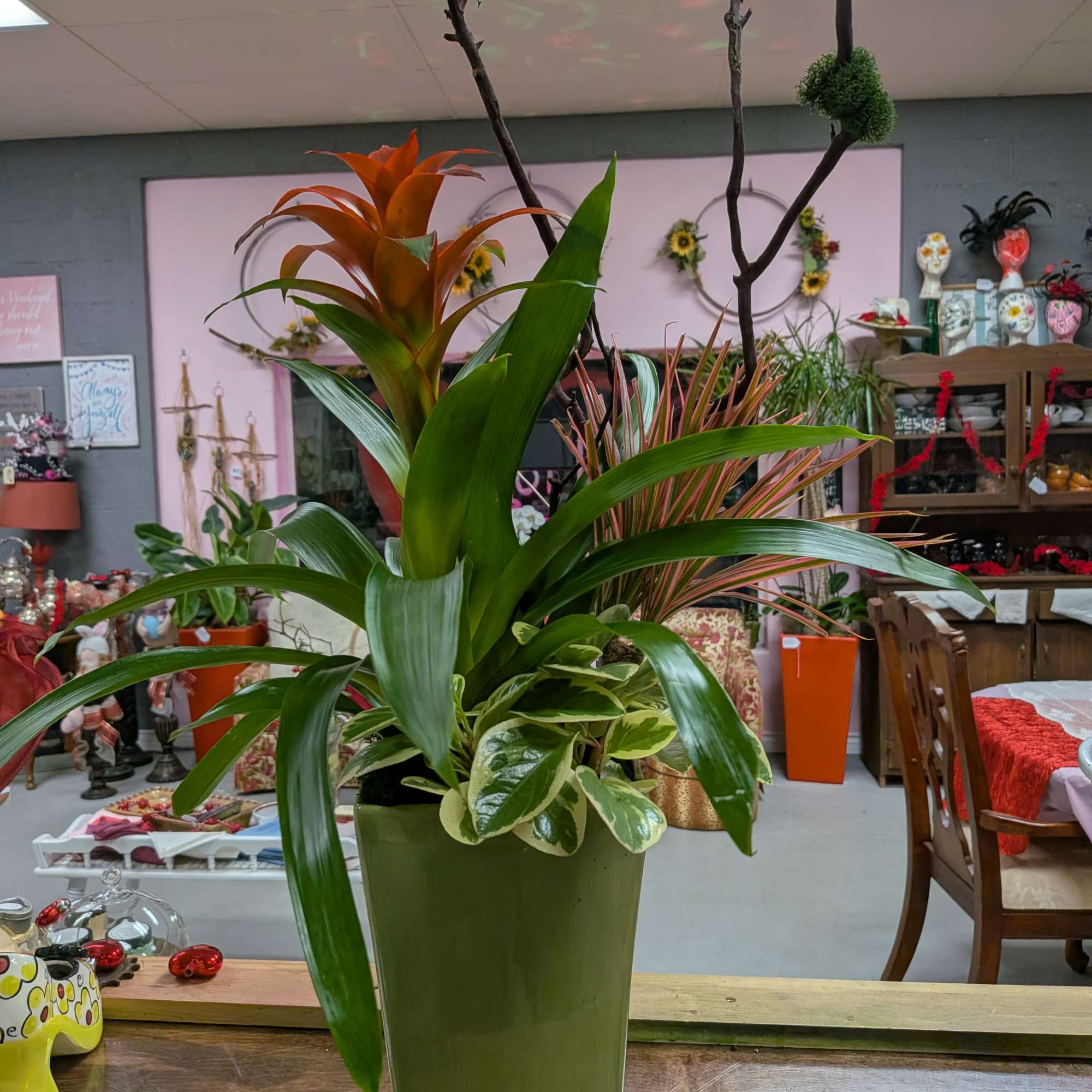 **Product Name:** Orchid &amp; Succulent Zen Garden

**Standard Description:** Elevate any space with, photo 2 of 5