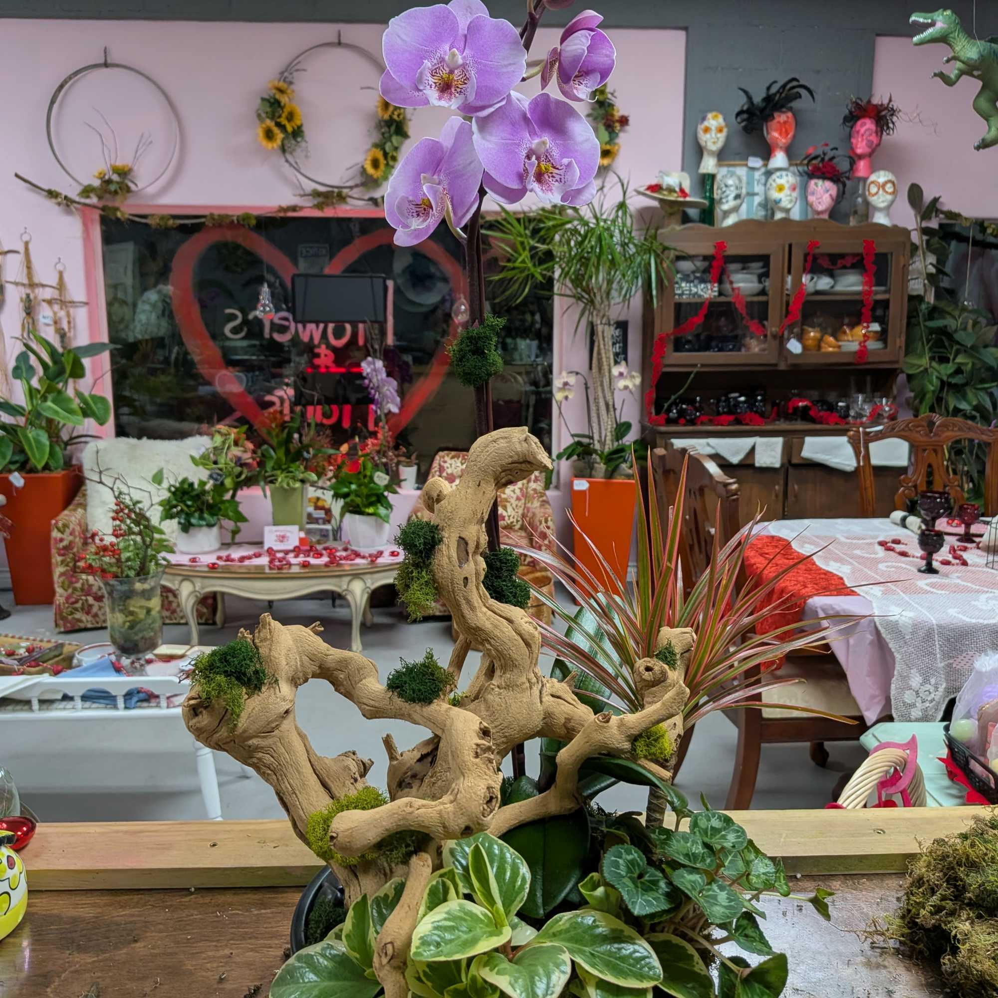 **Product Name:** Orchid &amp; Succulent Zen Garden

**Standard Description:** Elevate any space with, photo 3 of 5