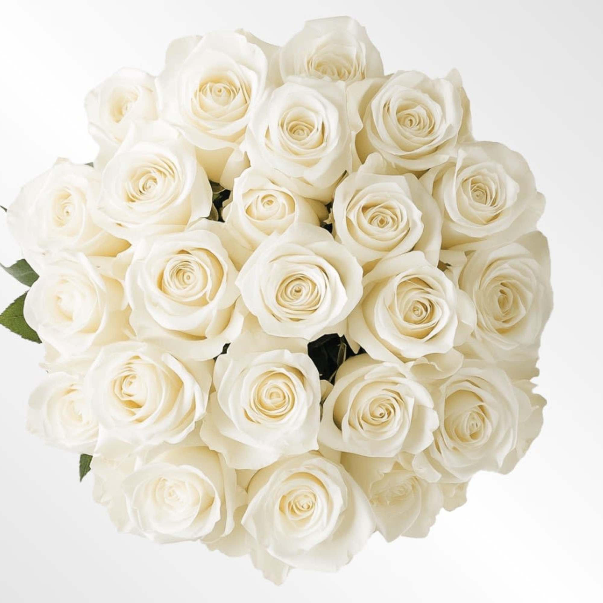 Our white roses are an elegant surprise for someone who brings pure