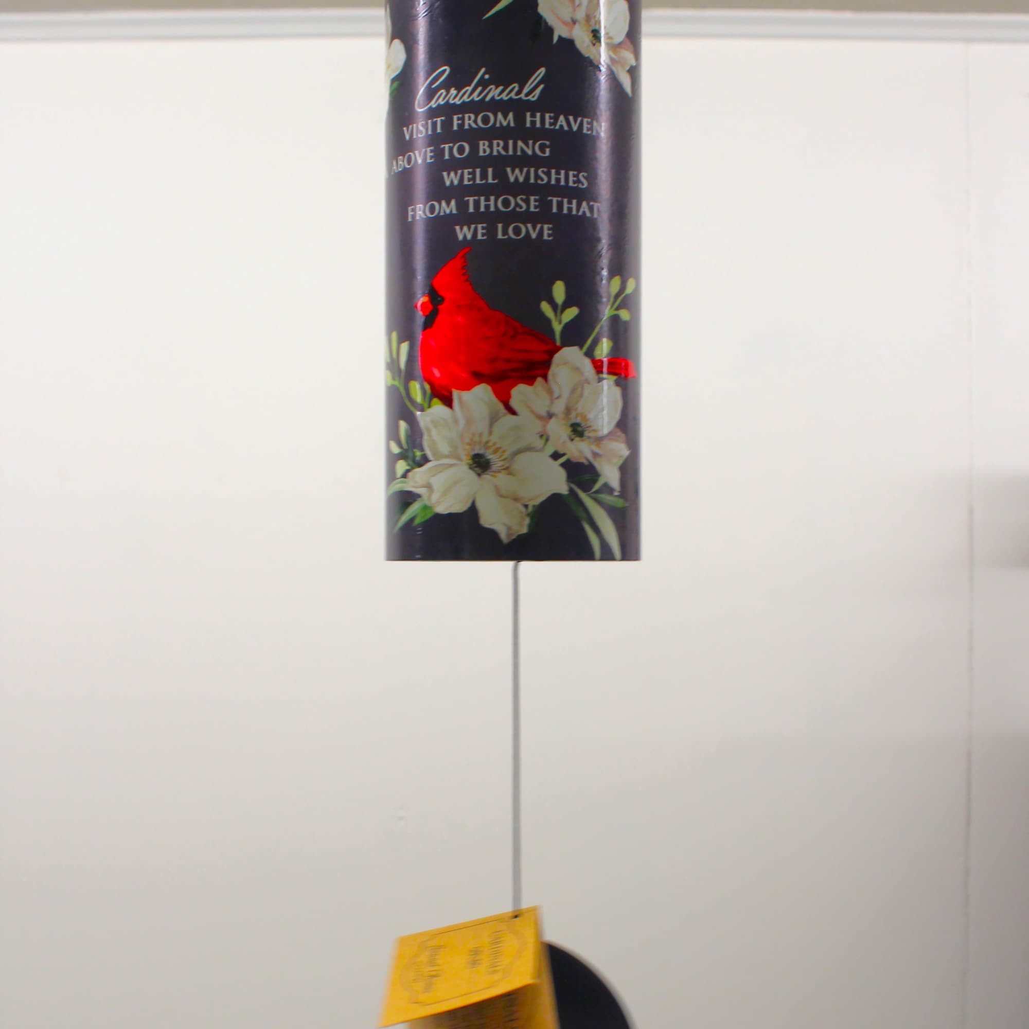 Cardinals Vist from Heaven above to bring well wishes from those that