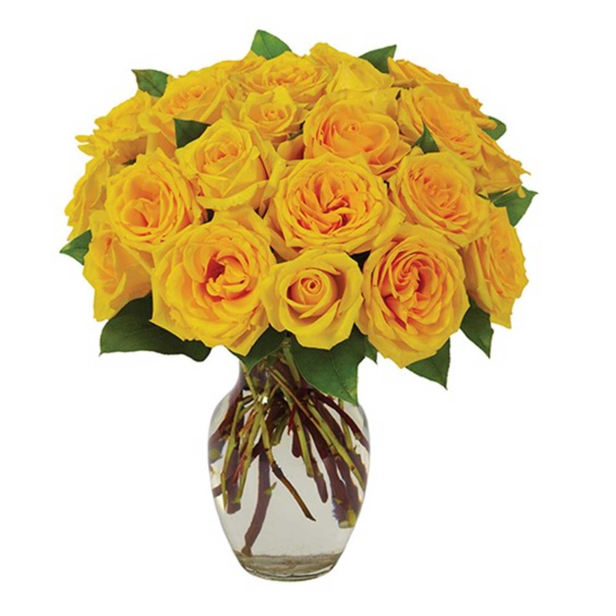Yellow roses arranged in a clear glass vase