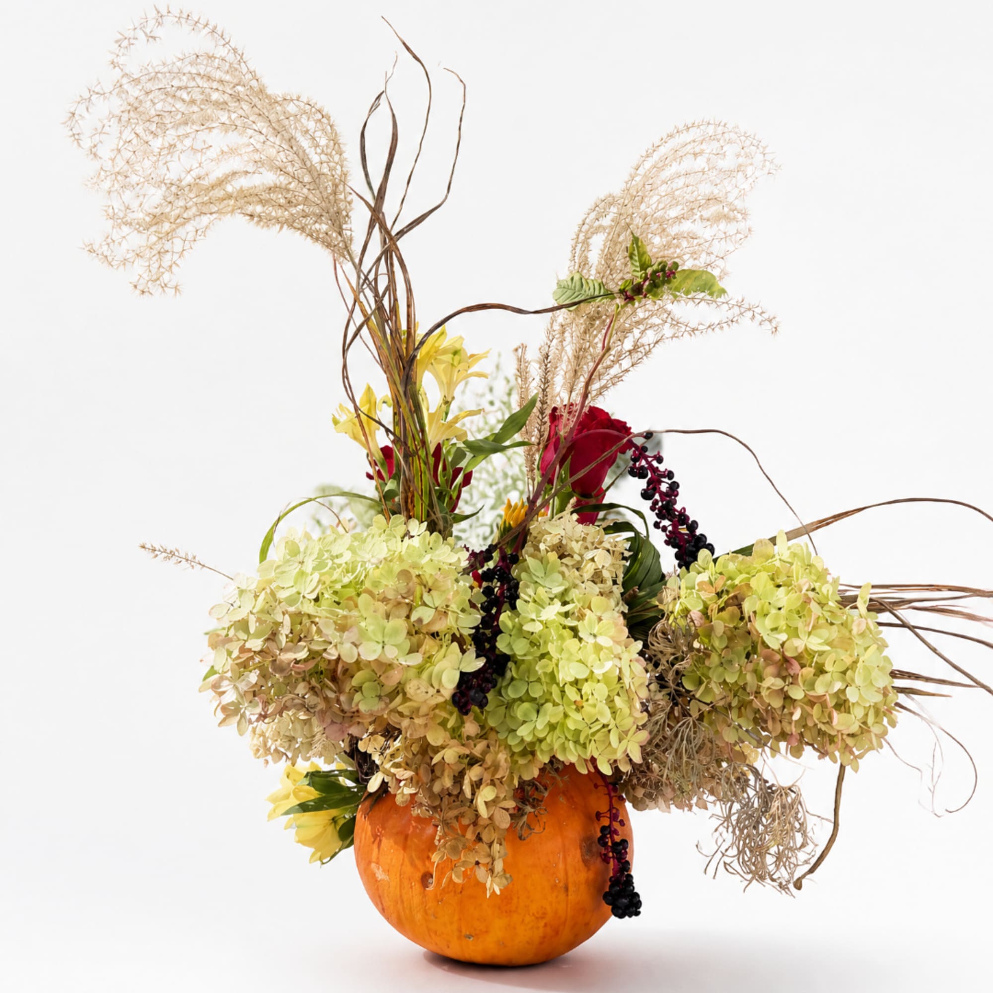 Autumn floral arrangement in a pumpkin with hydrangeas and tall dried grasses