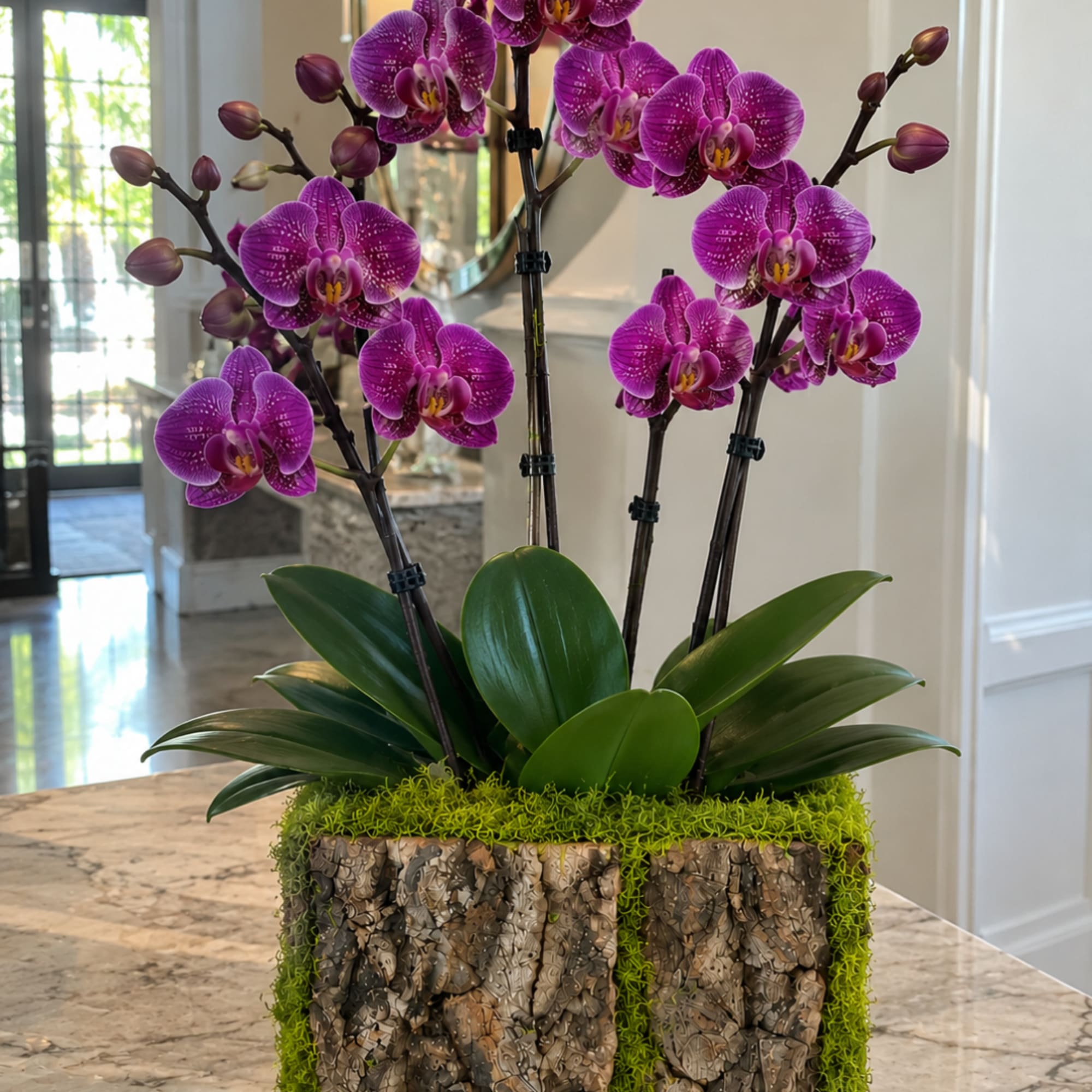 Purple orchids in a textured square planter on a countertop