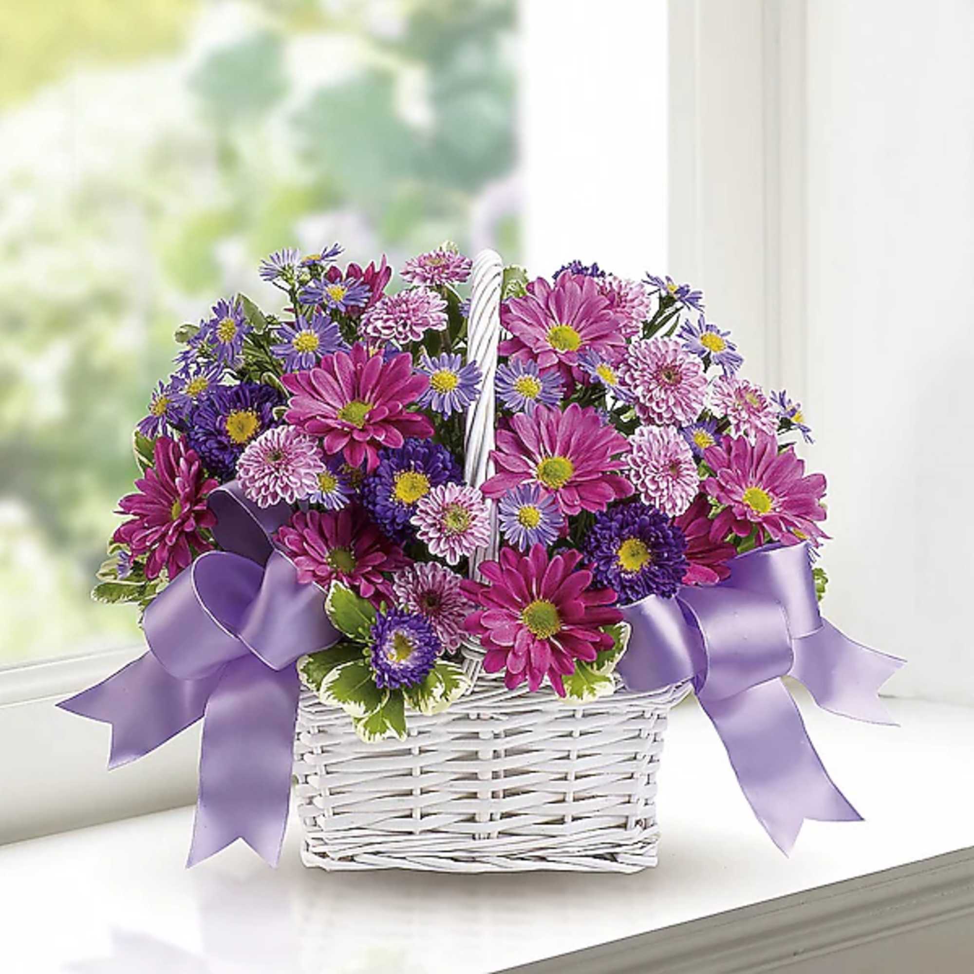 Basket of pink and purple daisies with a lavender ribbon