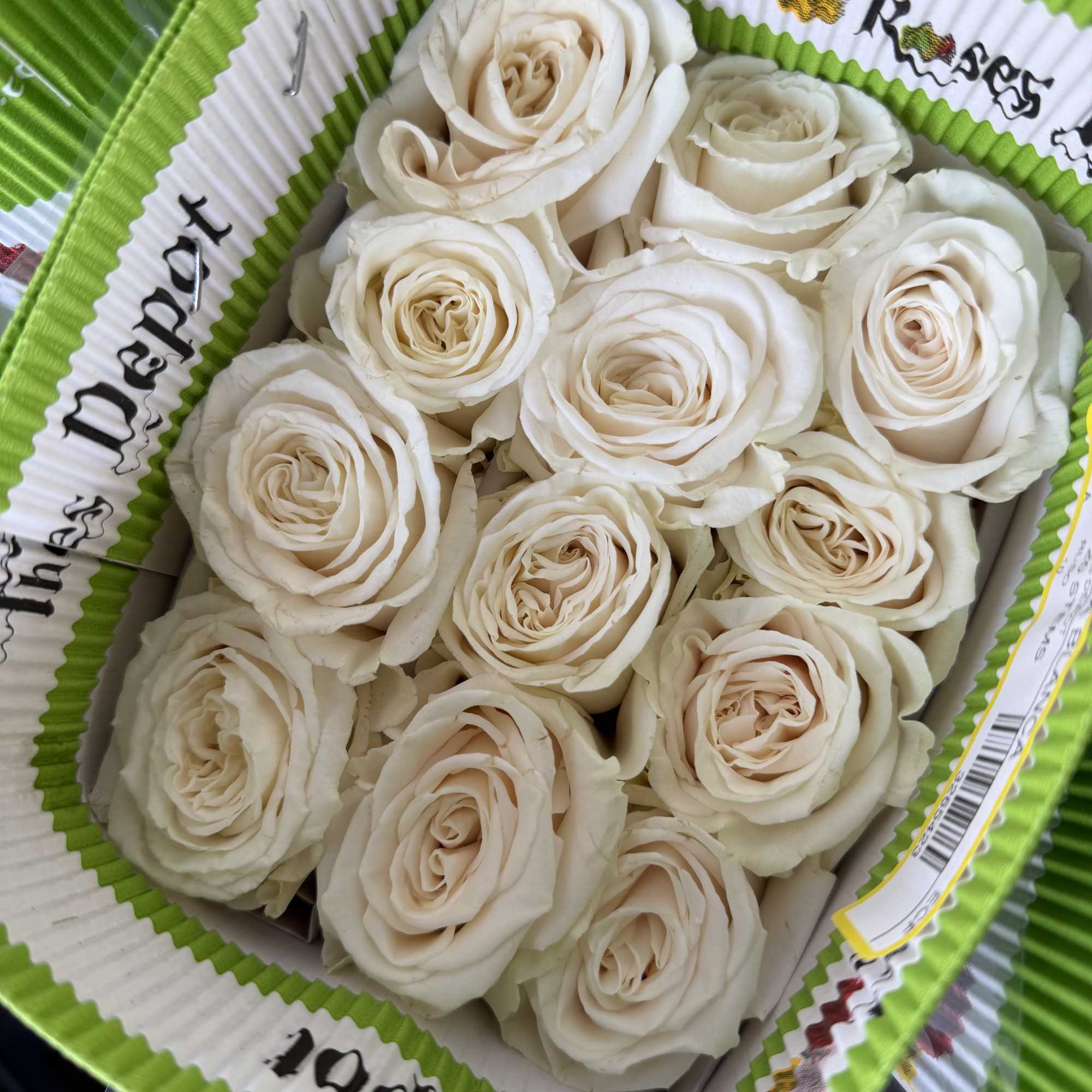 20 Premium Roses, Handpicked and Imported Directly from Ecuador, photo 2 of 2