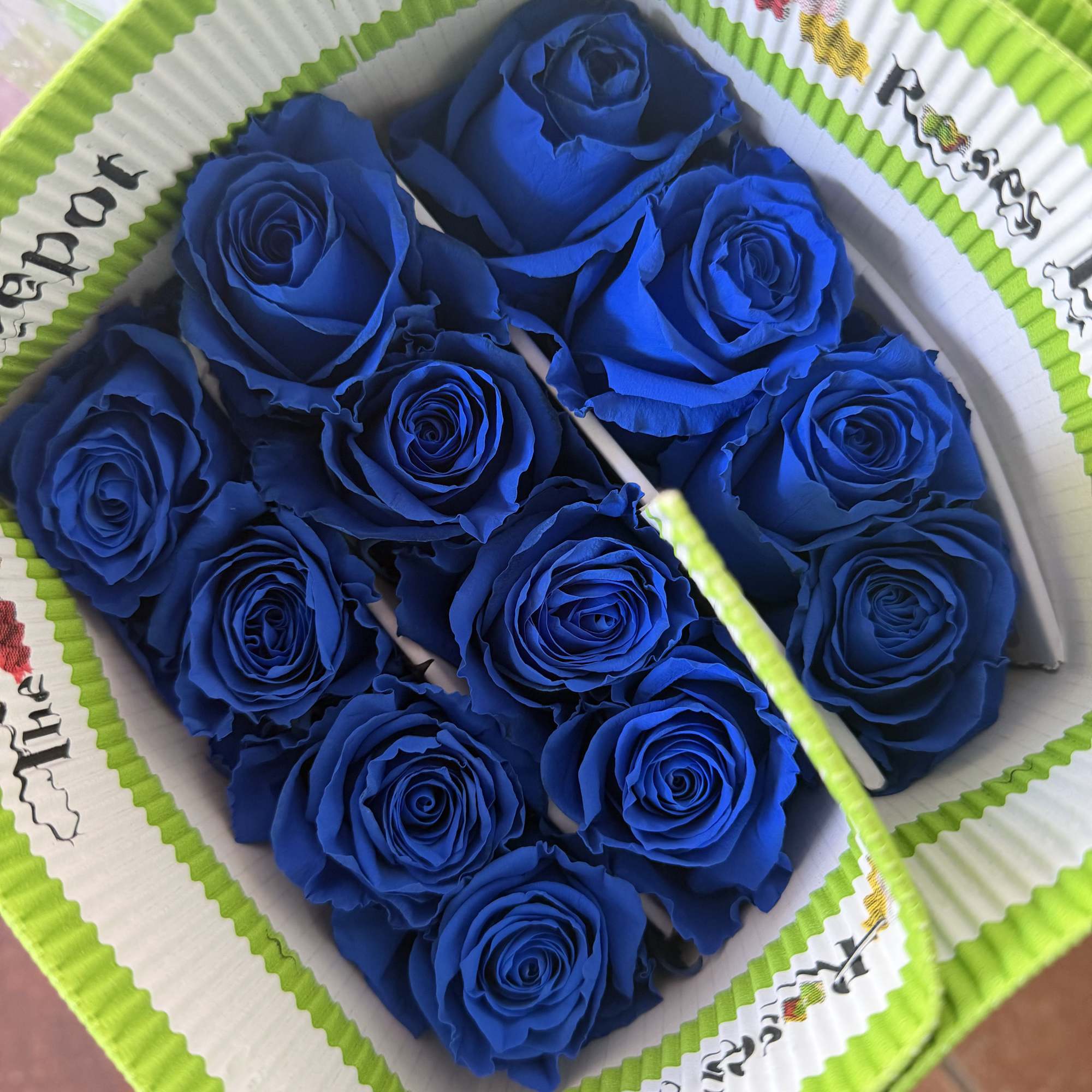 20 Premium Roses, Handpicked and Imported Directly from Ecuador, photo 2 of 2