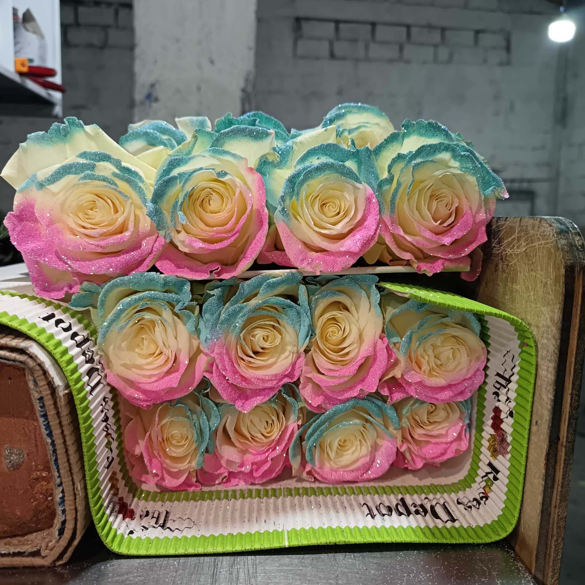 20 Premium Roses, Handpicked and Imported Directly from Ecuador