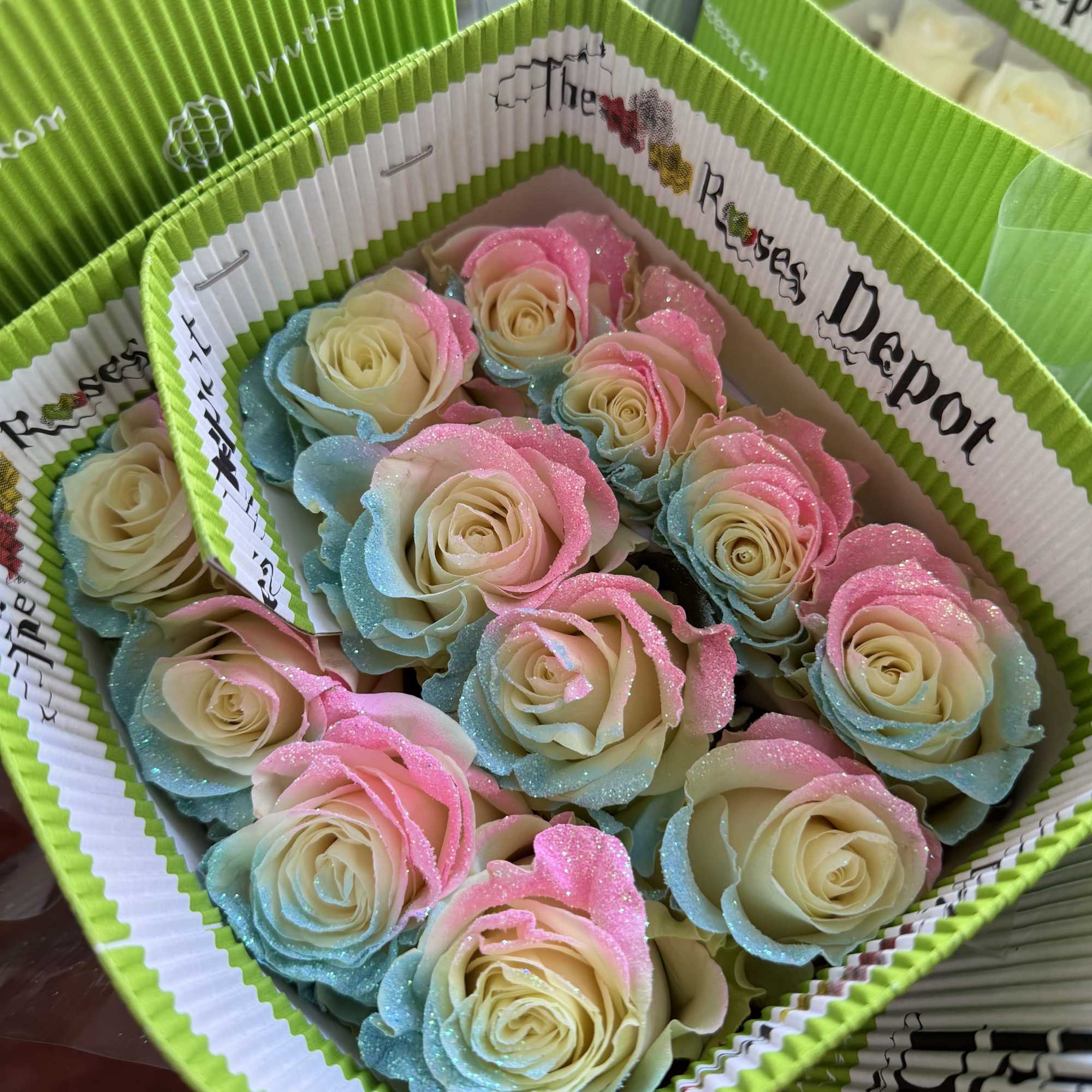 20 Premium Roses, Handpicked and Imported Directly from Ecuador, photo 2 of 2