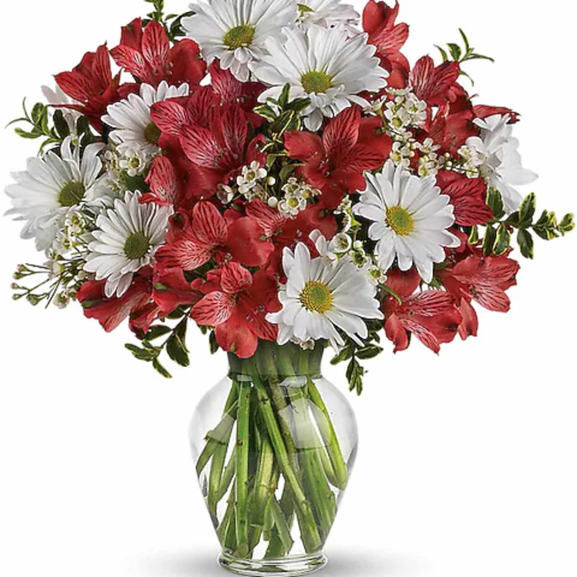 Bouquet of red alstroemeria and white daisies in a clear glass vase