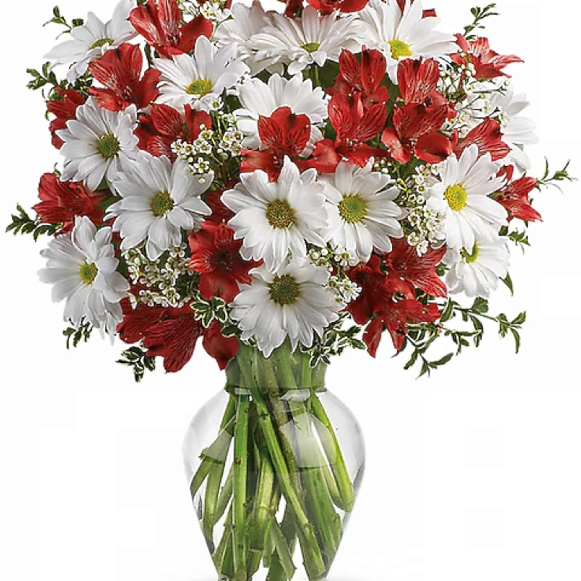 Bouquet of red alstroemeria and white daisies in a clear glass vase