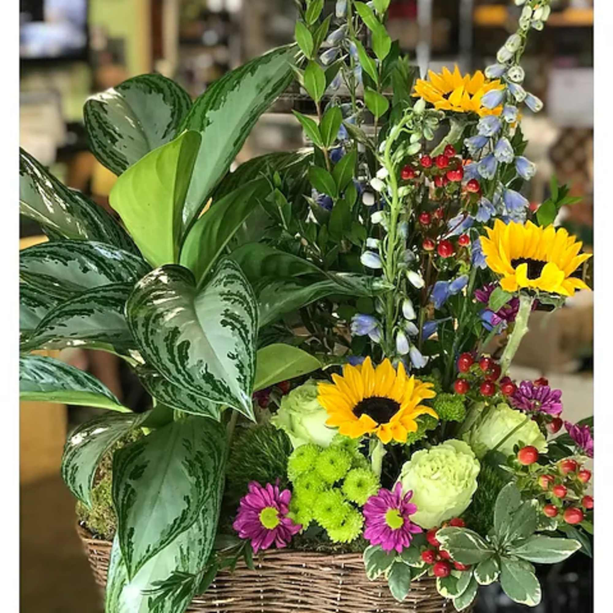 Mixed flower basket with sunflowers, mums, and leafy plants in a wicker basket