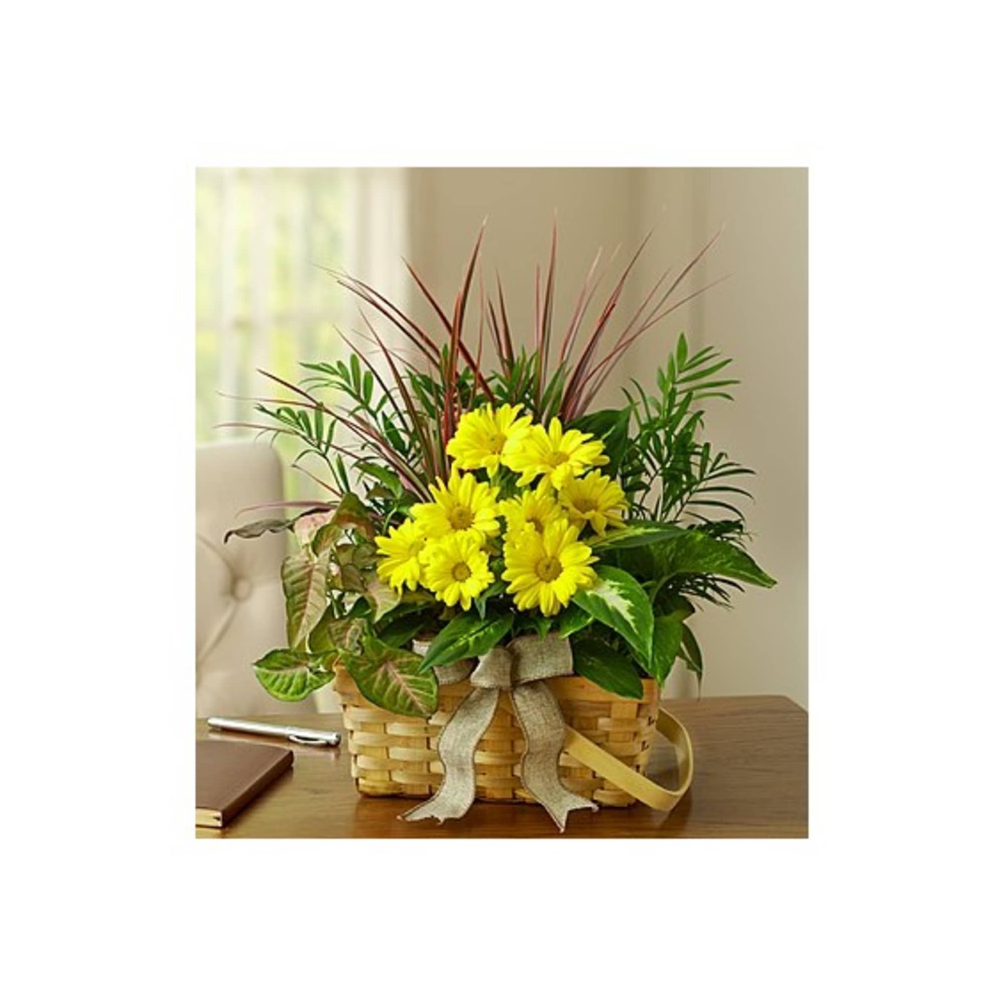 Yellow daisies in a woven basket with a ribbon bow
