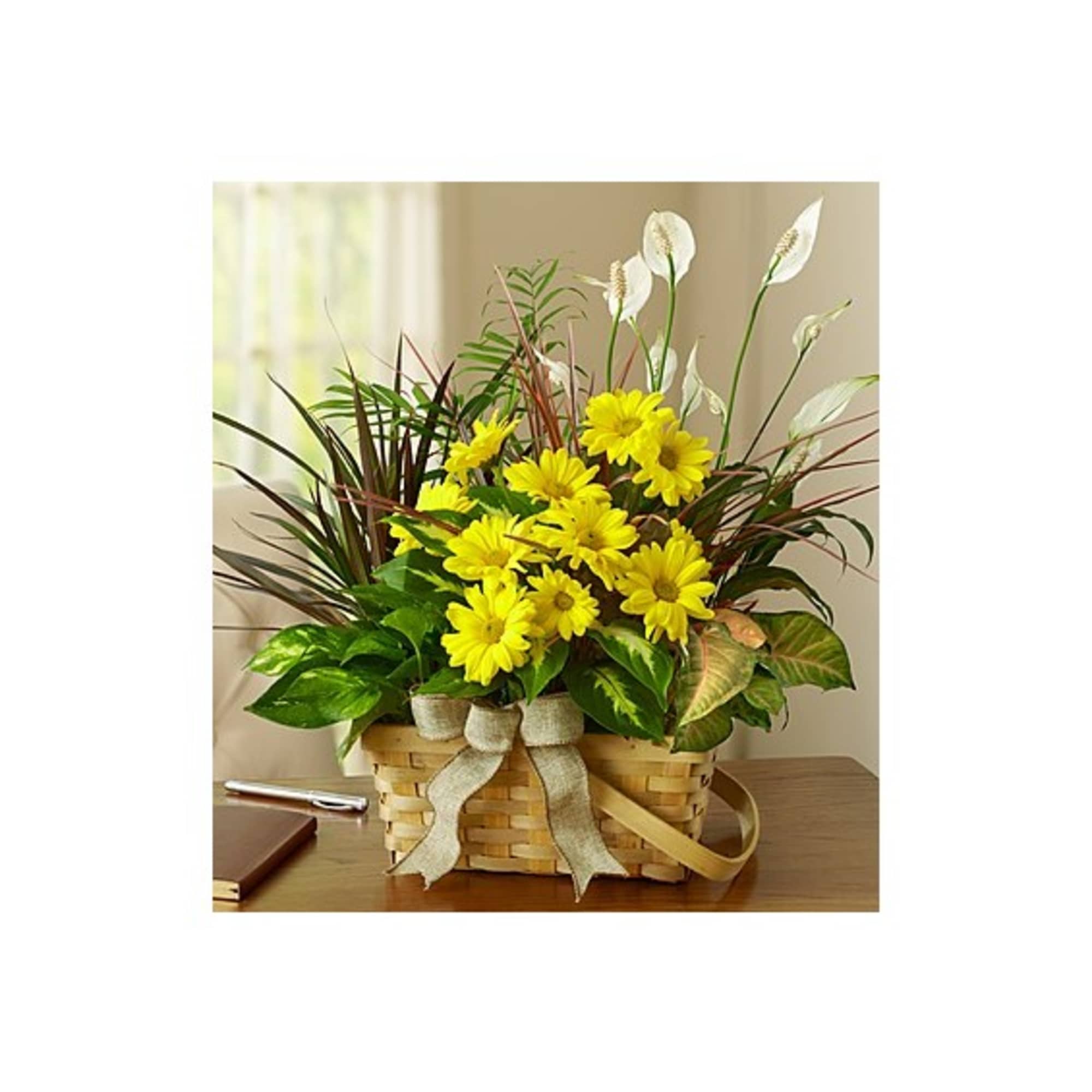 Basket arrangement with yellow daisies and white peace lilies