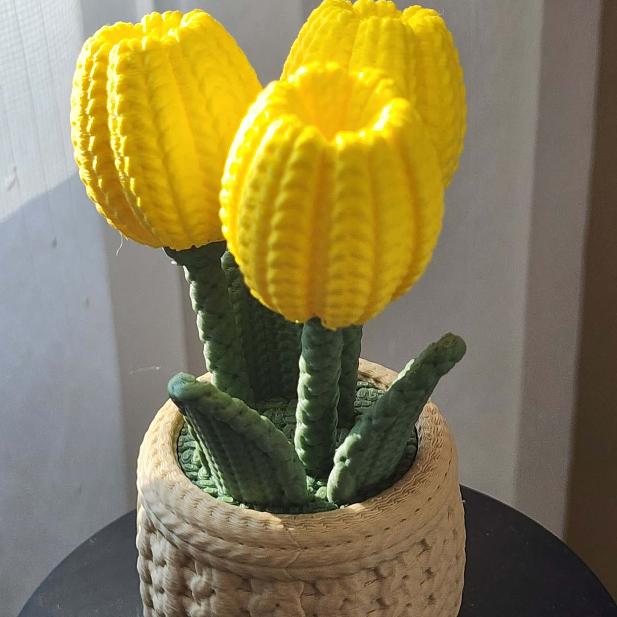 Three yellow tulip-like blooms in a woven basket pot