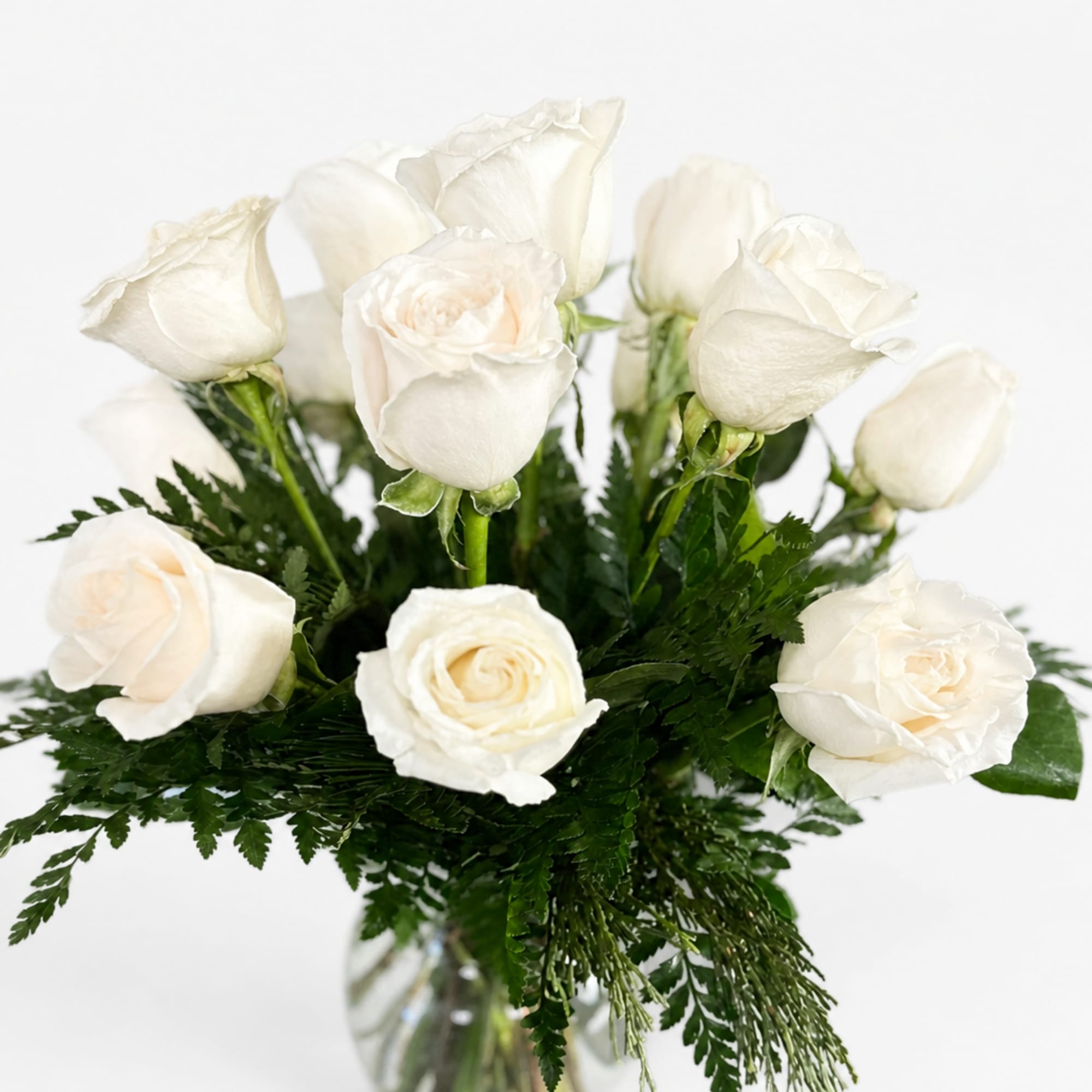 White roses arranged in a clear glass vase with dark green foliage