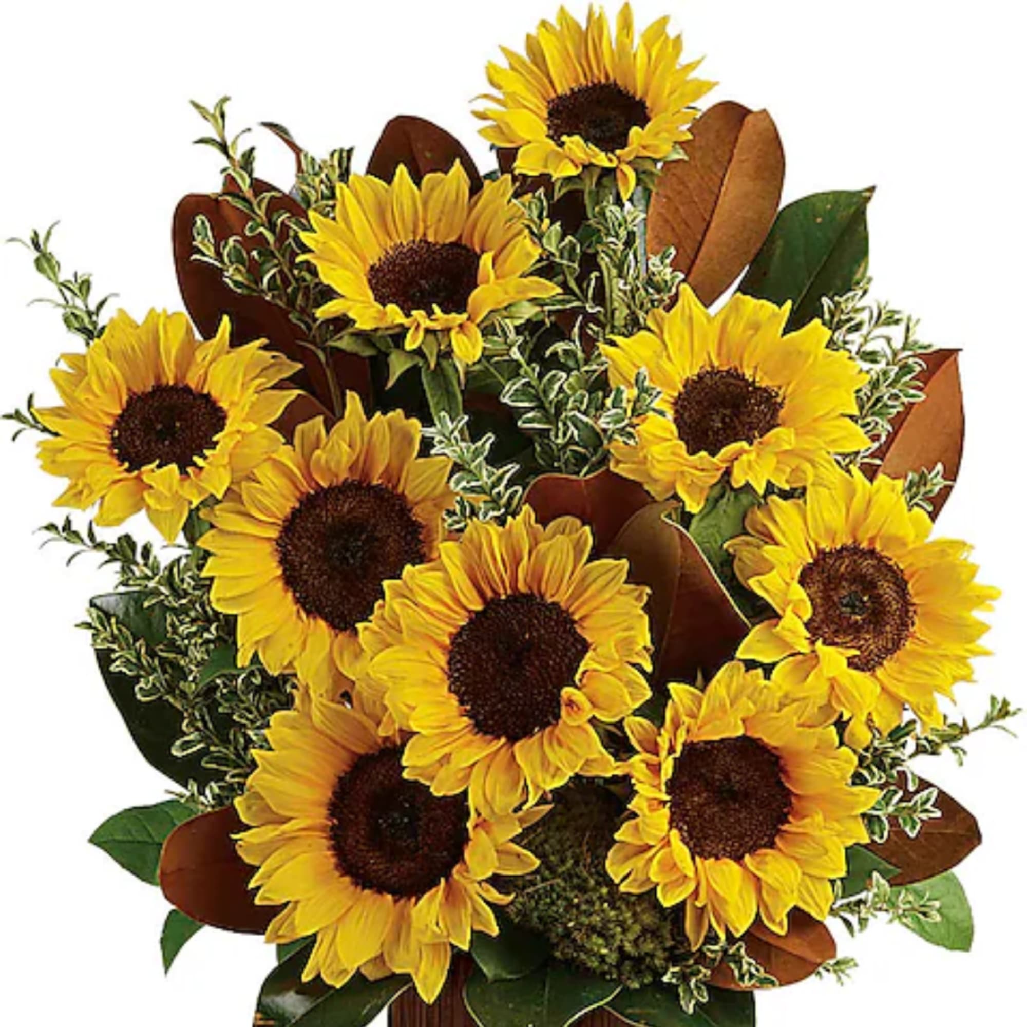 Bouquet of yellow sunflowers with brown foliage accents