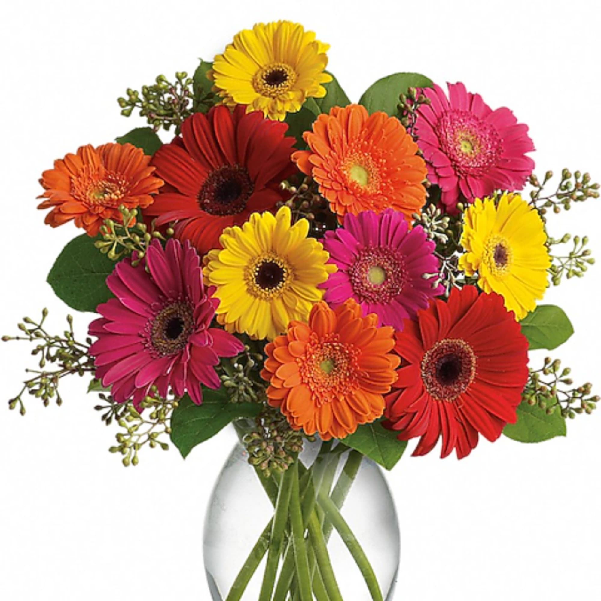 Mixed gerbera daisies in a clear glass vase