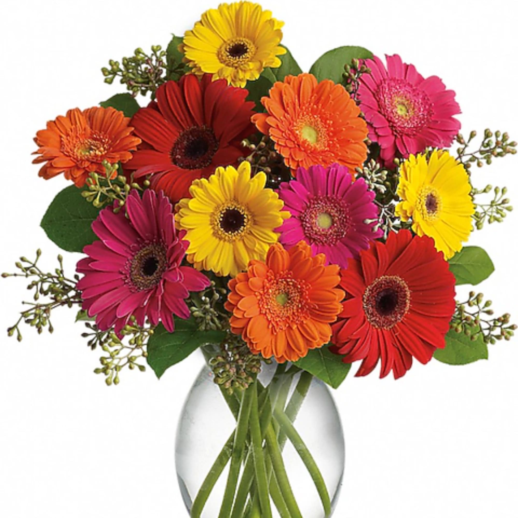 Colorful gerbera daisy bouquet in a clear glass vase