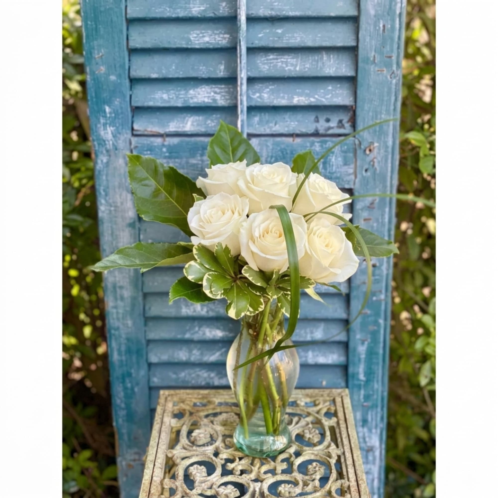 White roses in a clear glass vase with greenery