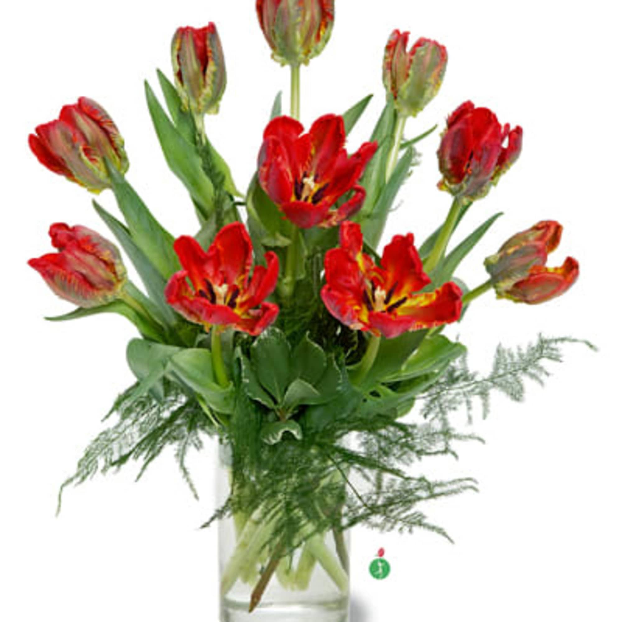 Red tulips arranged in a clear glass vase