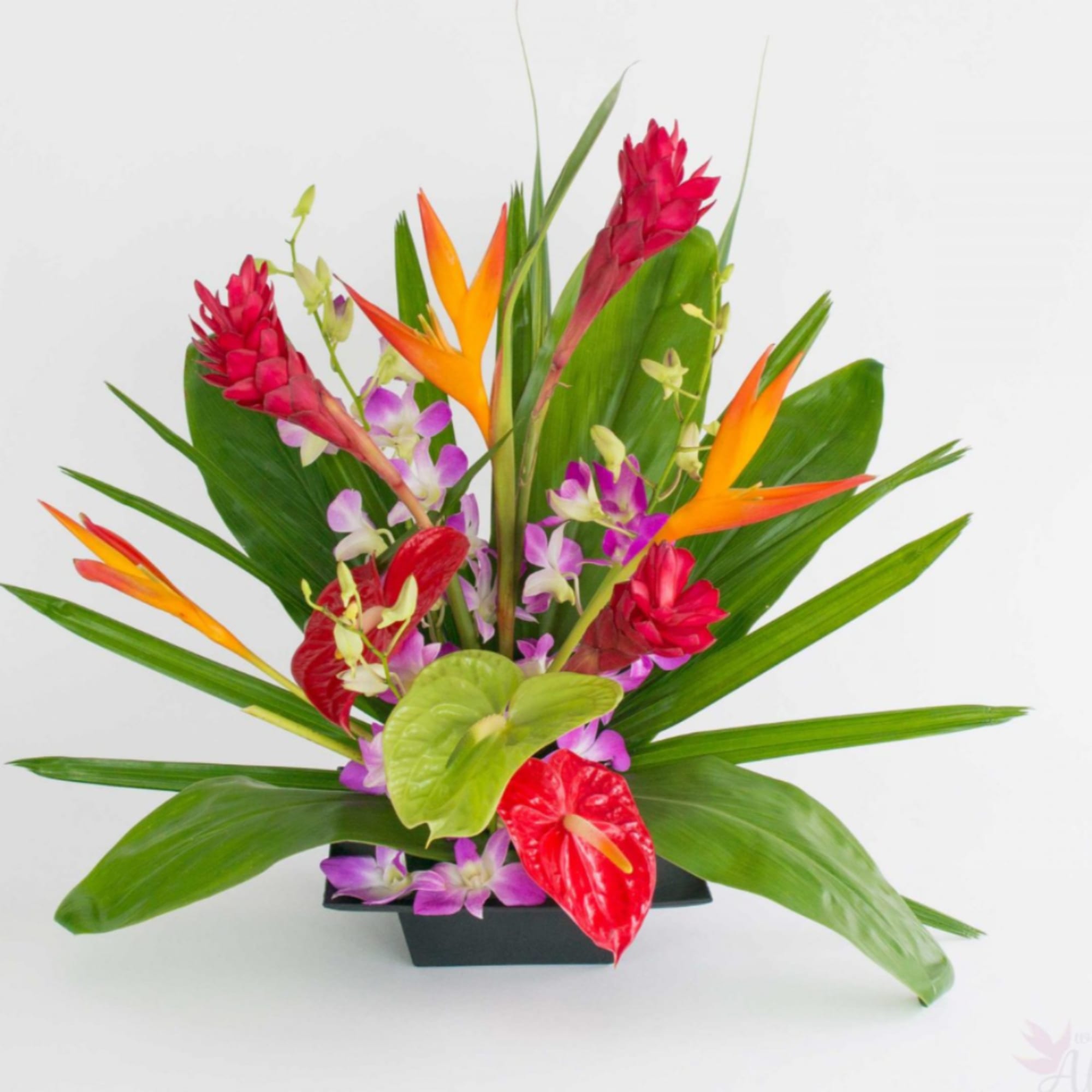 Tropical floral arrangement with red anthuriums and orange bird of paradise in a black container