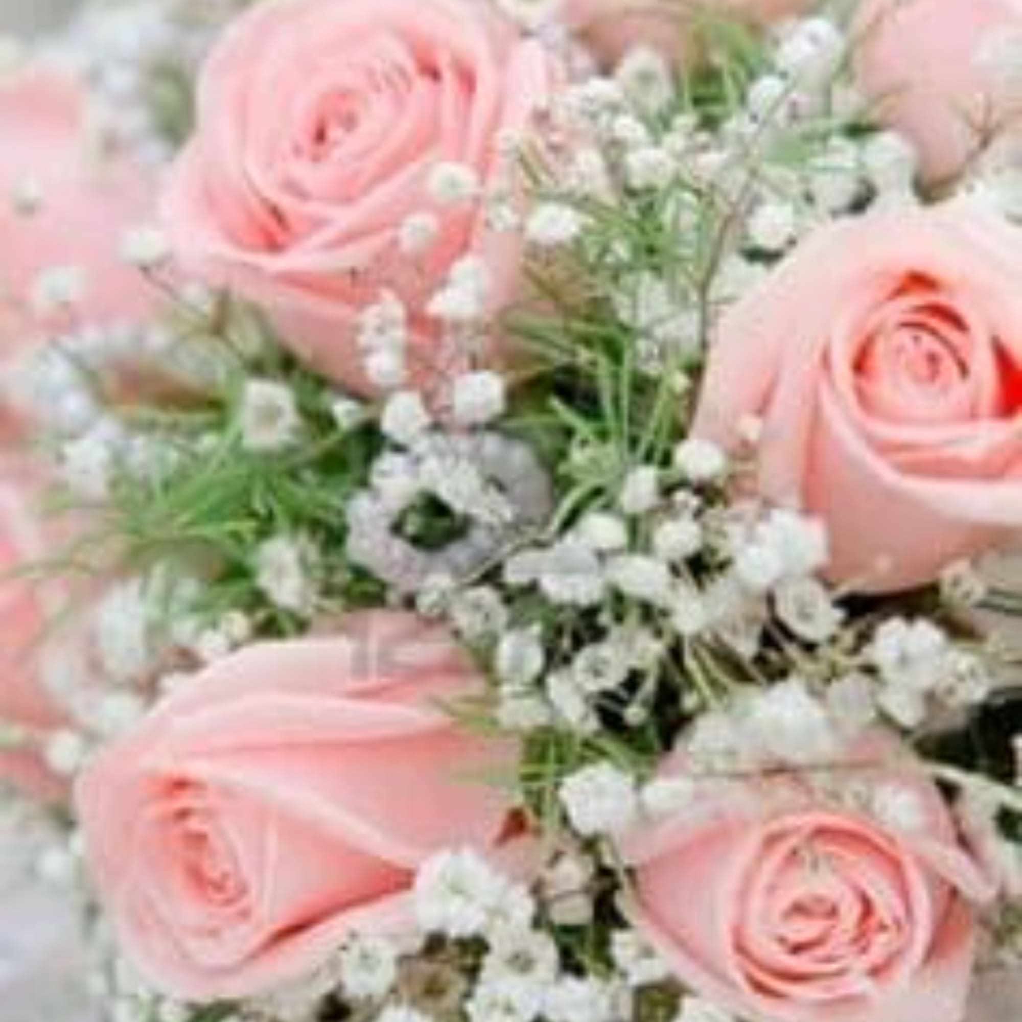Pink roses with small white filler flowers