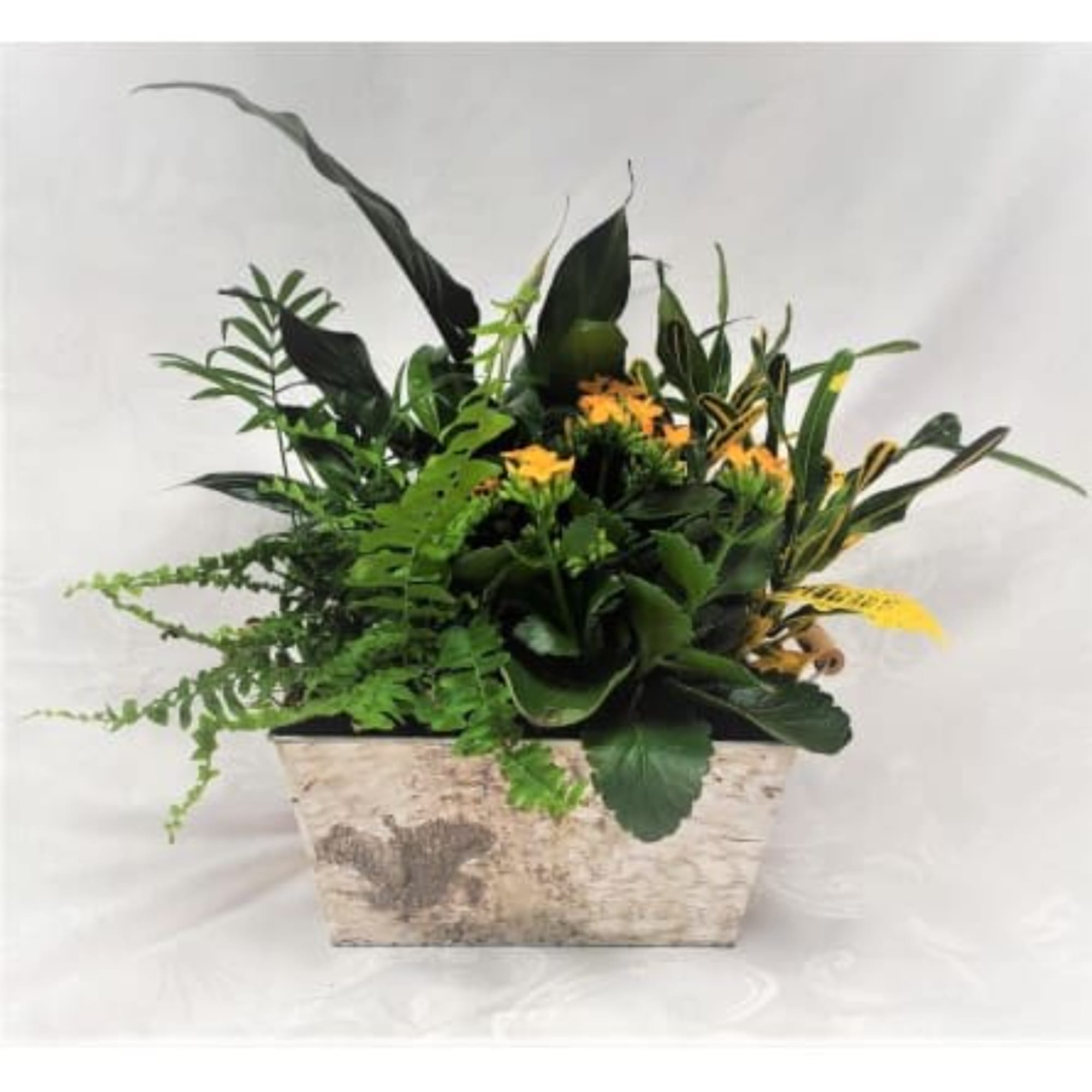 Mixed green plant arrangement in a rectangular stone-look planter