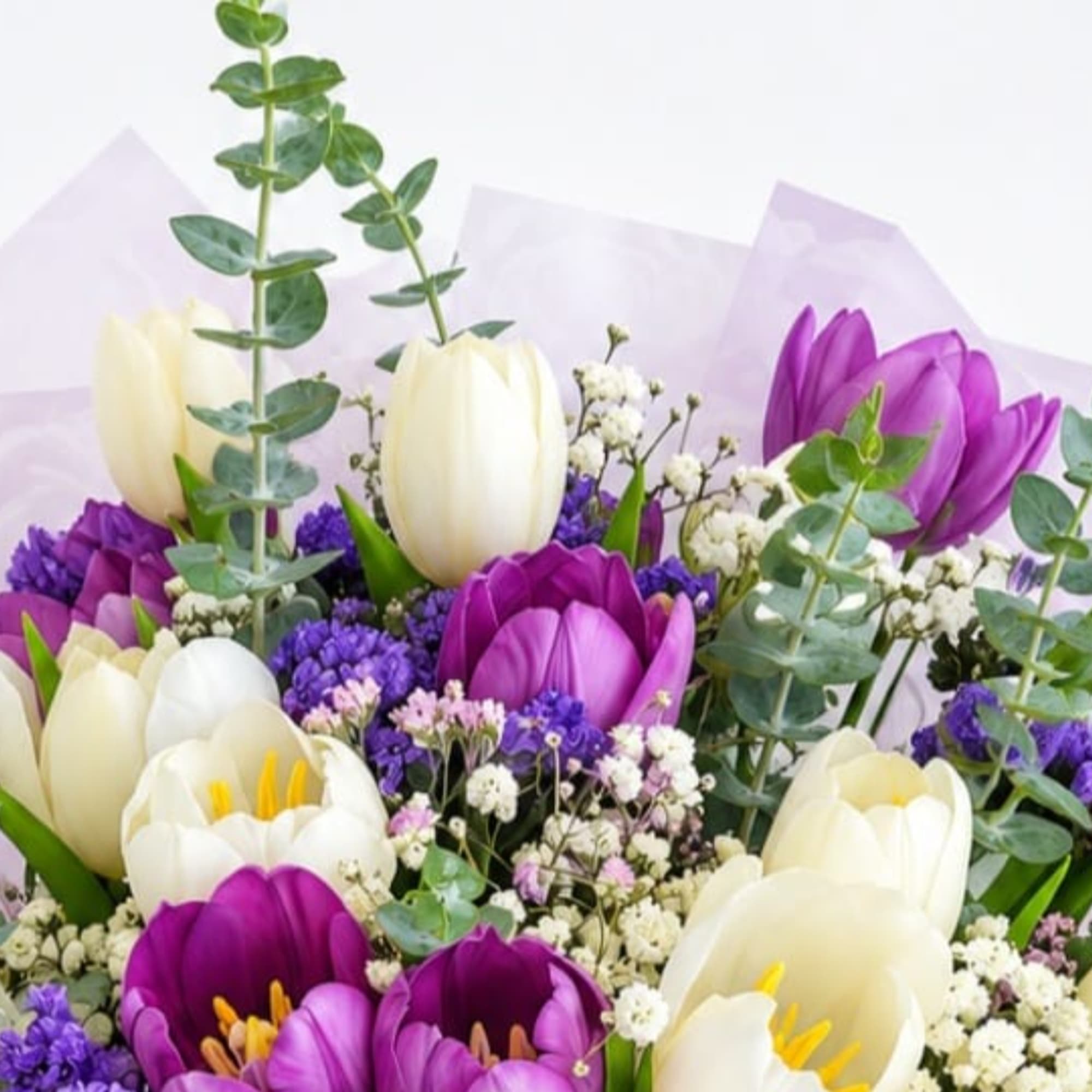 Bouquet of purple and white tulips with small white filler flowers