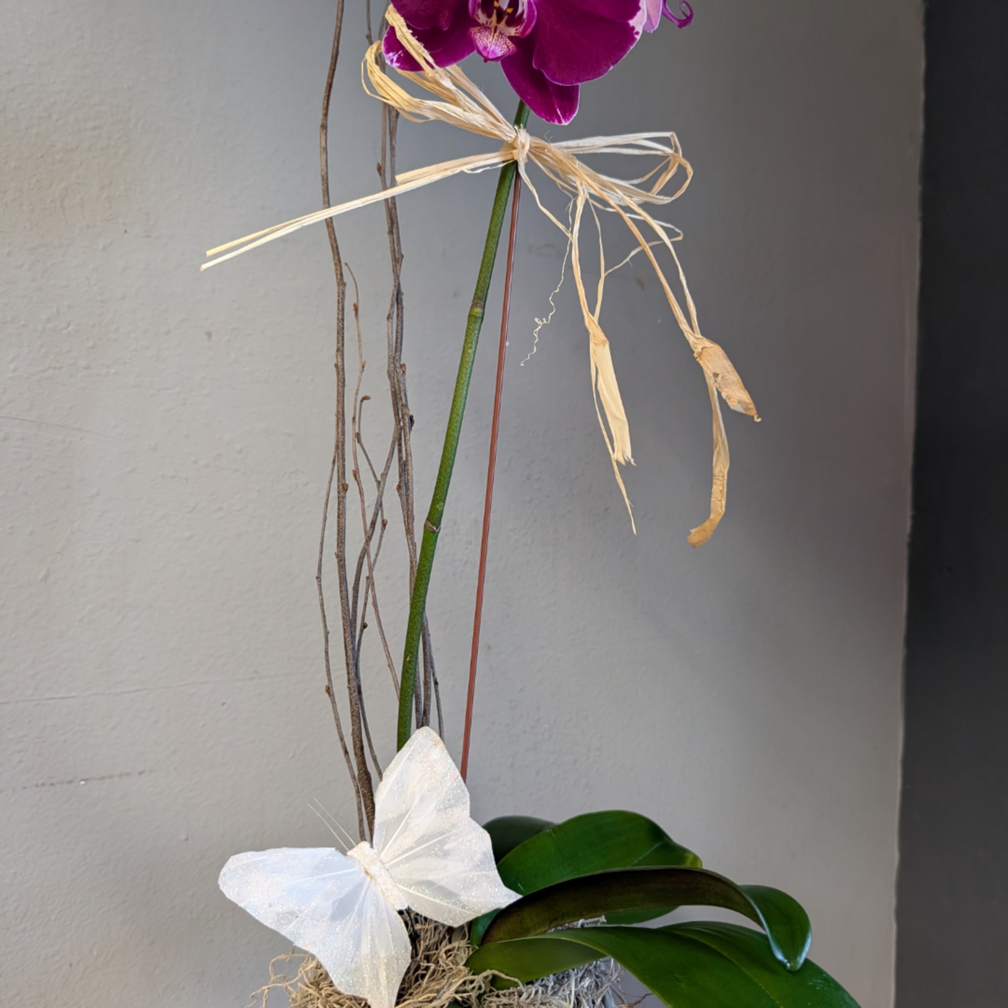 Purple orchid stem with a white bow and butterfly decoration